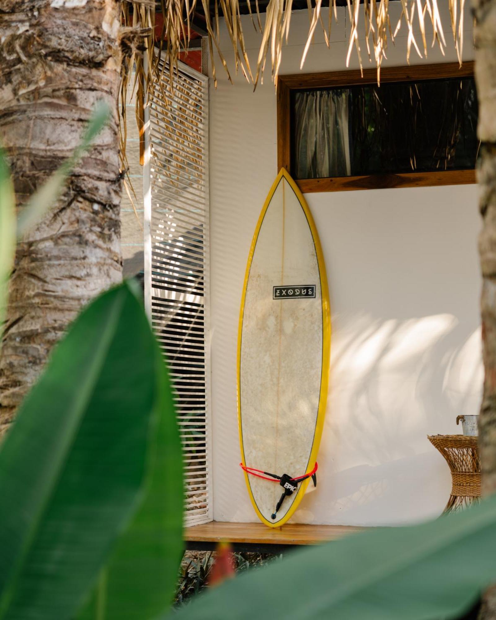 Salty Enthusiasts Share House & Hostel *