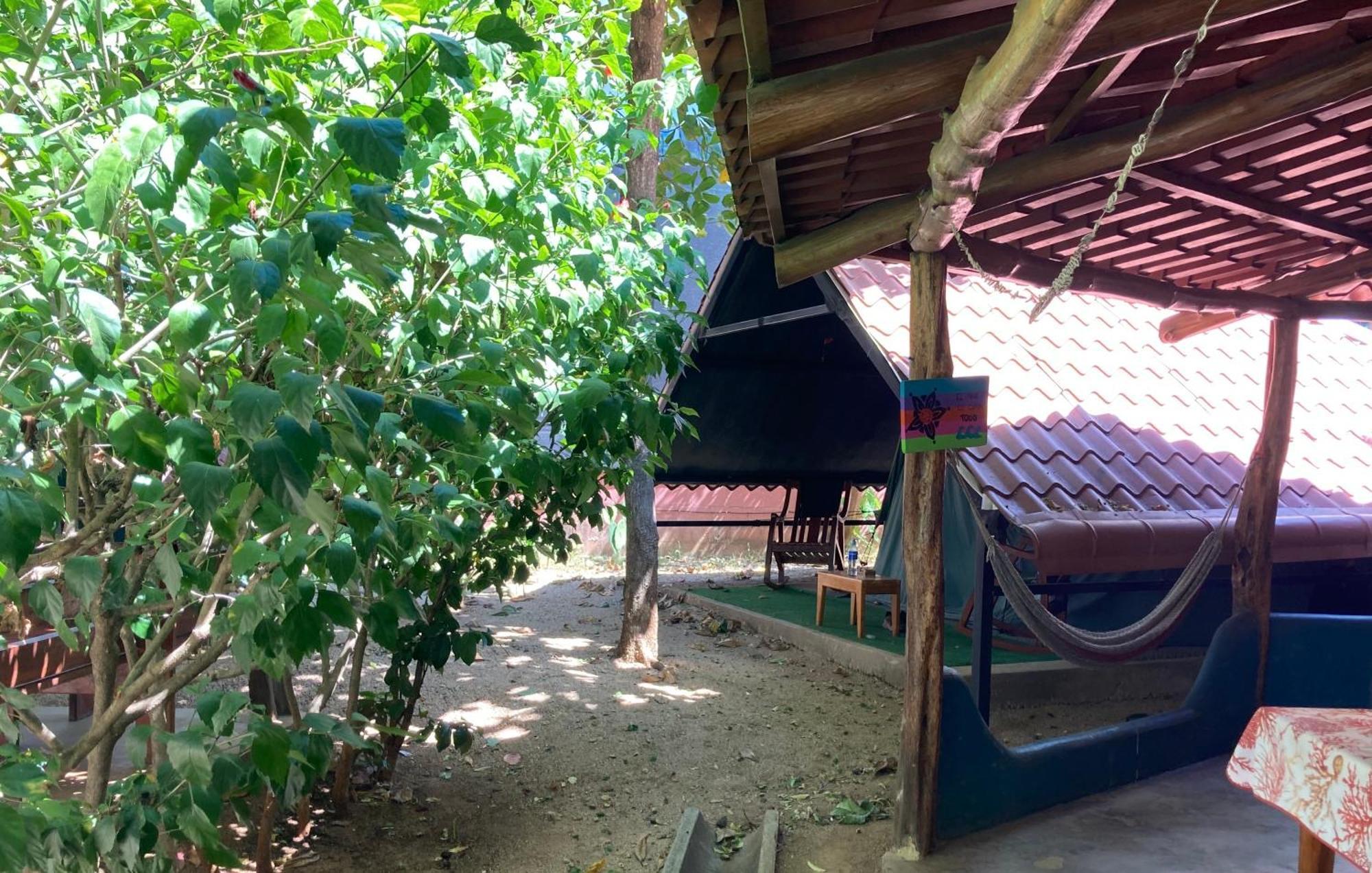 Hostel Tamahostel & Glamping