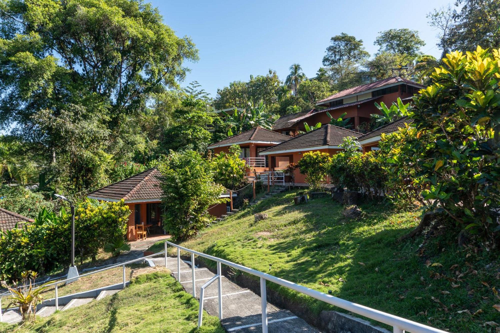 Bongo - Adults Only 3* Manuel Antonio