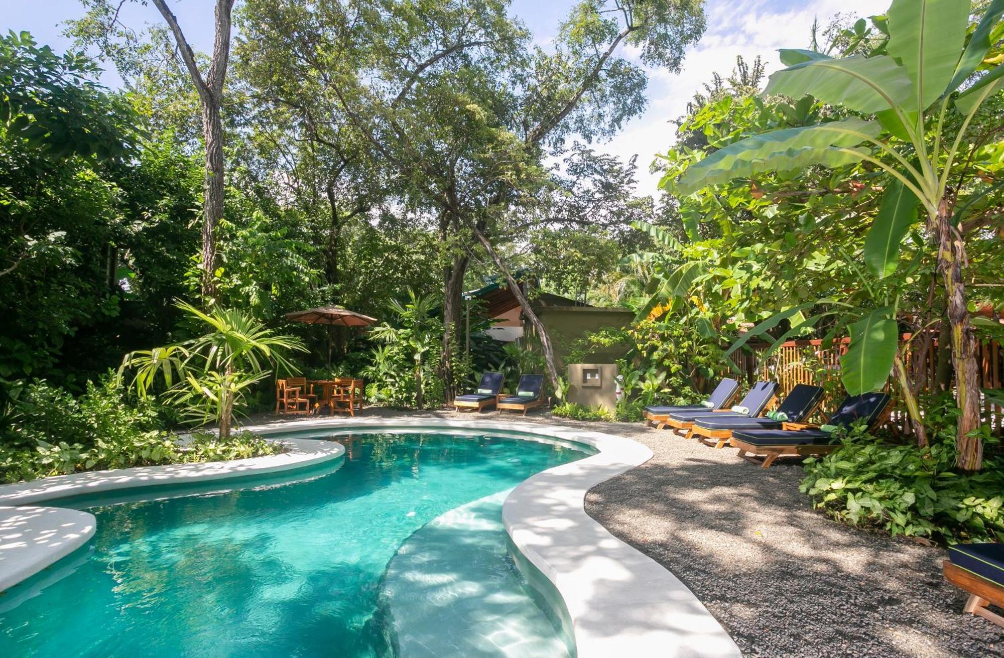 Olas Verdes Hotel Hotel