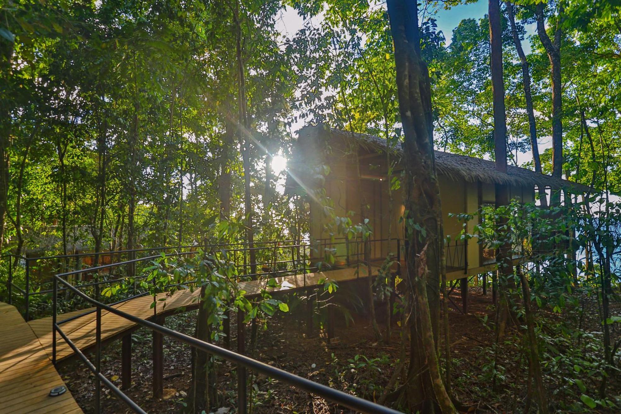 Corcovado Wilderness By Scp 5* San Pedrillo