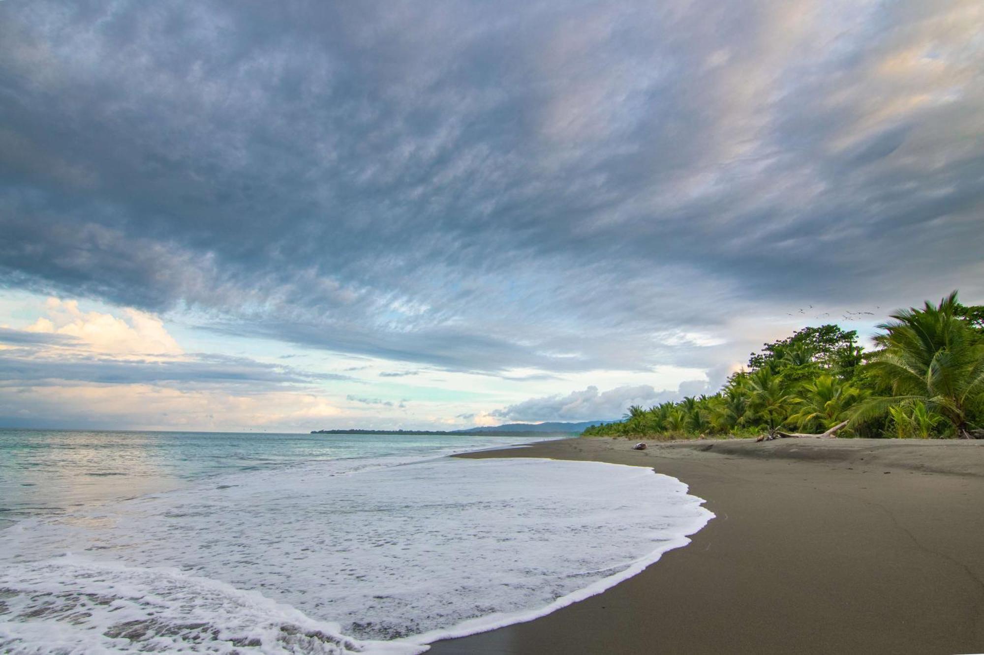 Botanika Osa Peninsula, Curio Collection By Hilton Resort Puerto Jimenez