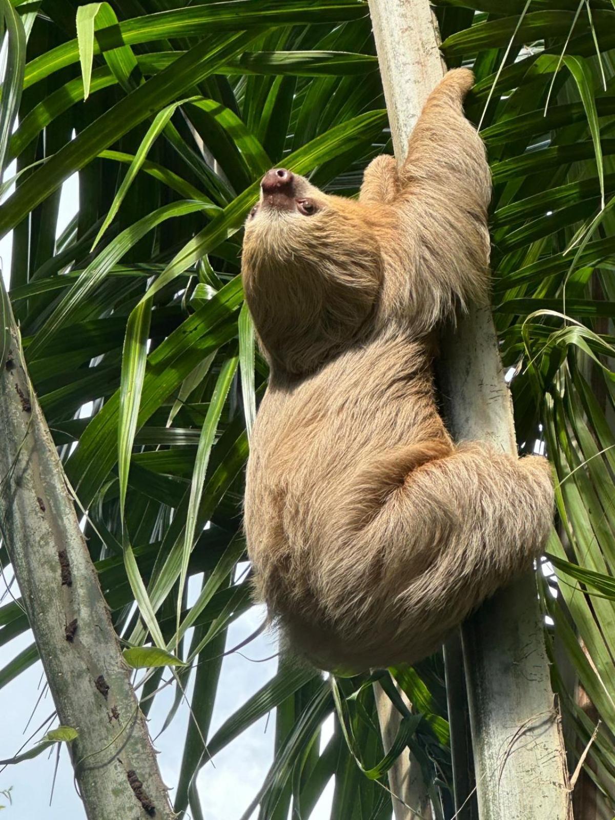 La Palapa Hut Nature