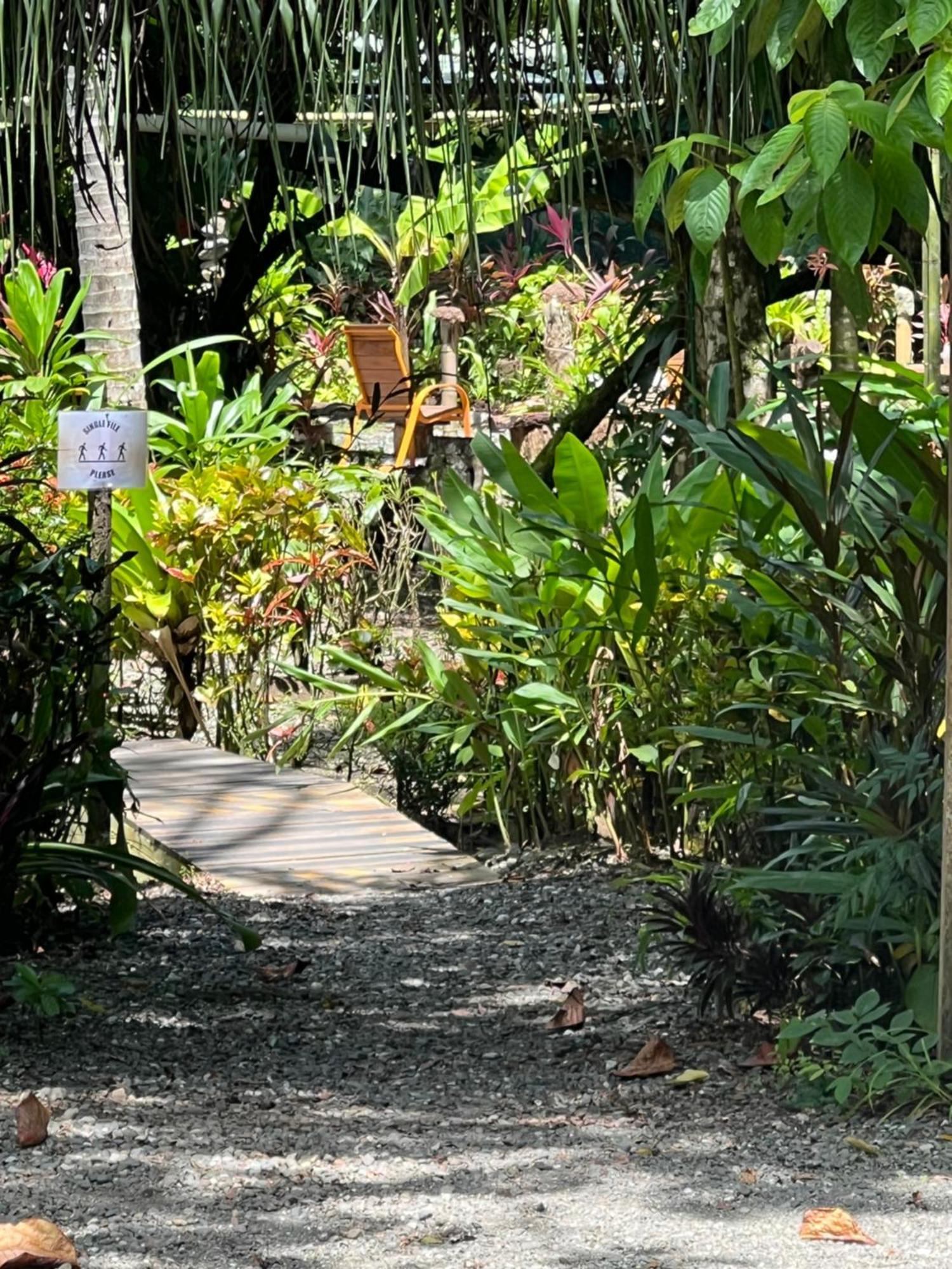 La Palapa Hut Nature Hostel *