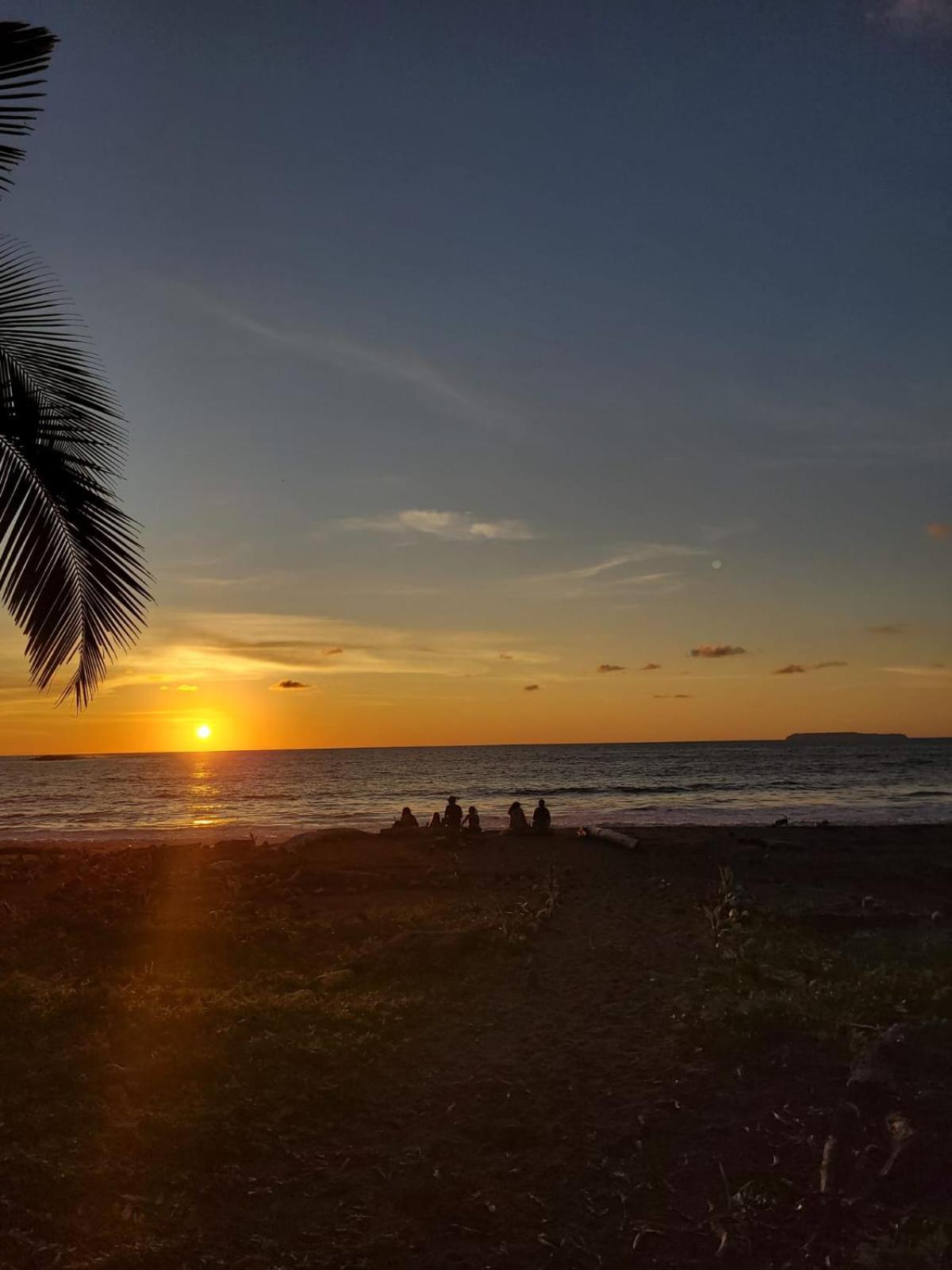 Life For Life Hostel: Sea Turtle Conservation At Hostel Drake Bay