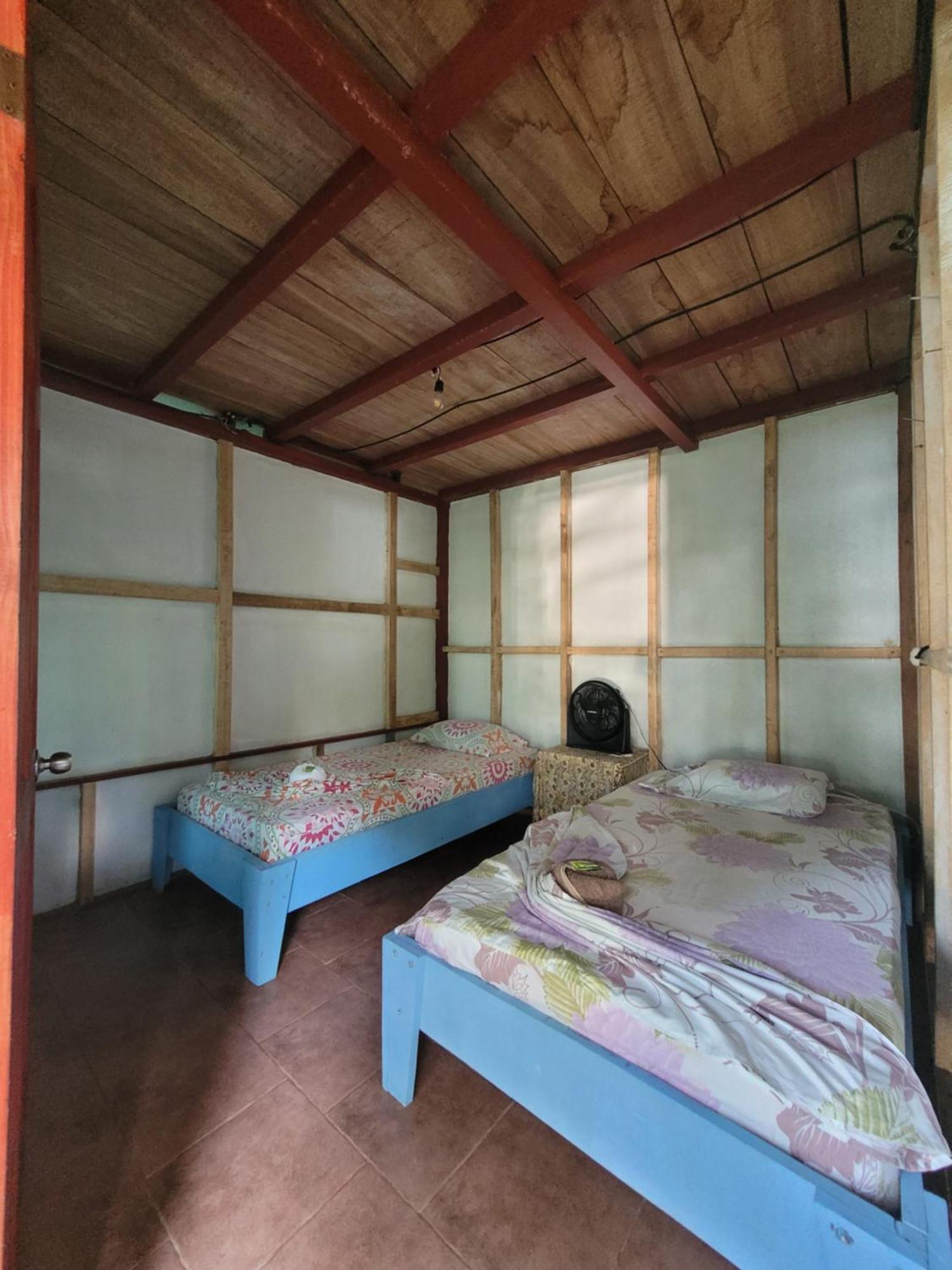 Hostel Life For Life Hostel: Sea Turtle Conservation At