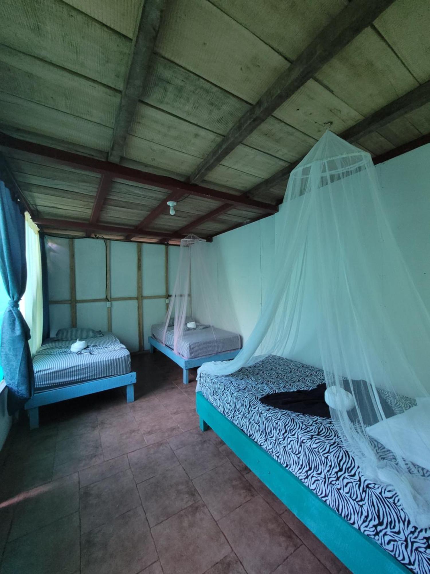 Life For Life Hostel: Sea Turtle Conservation At Hostel *