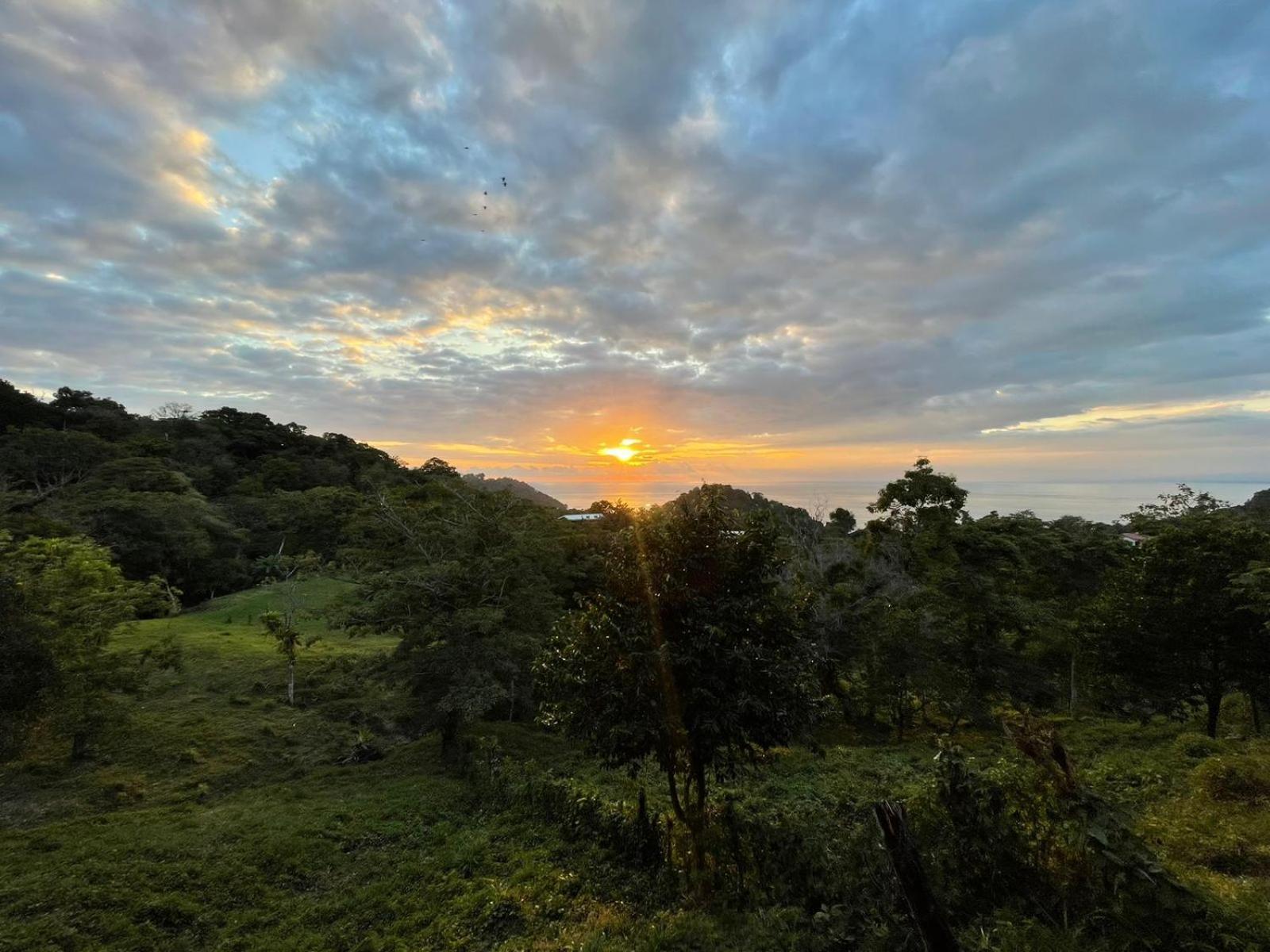 Lodge Pura Natura Manuel Antonio