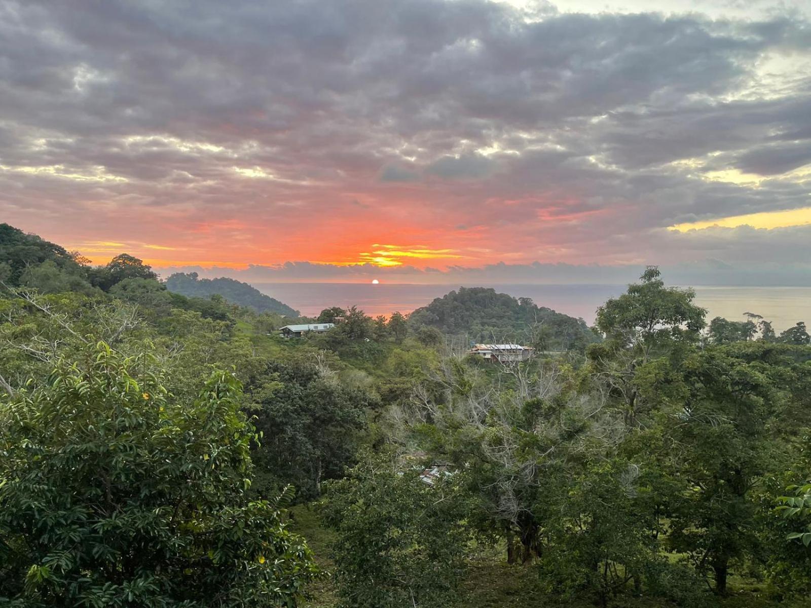 Lodge Pura Natura Manuel Antonio