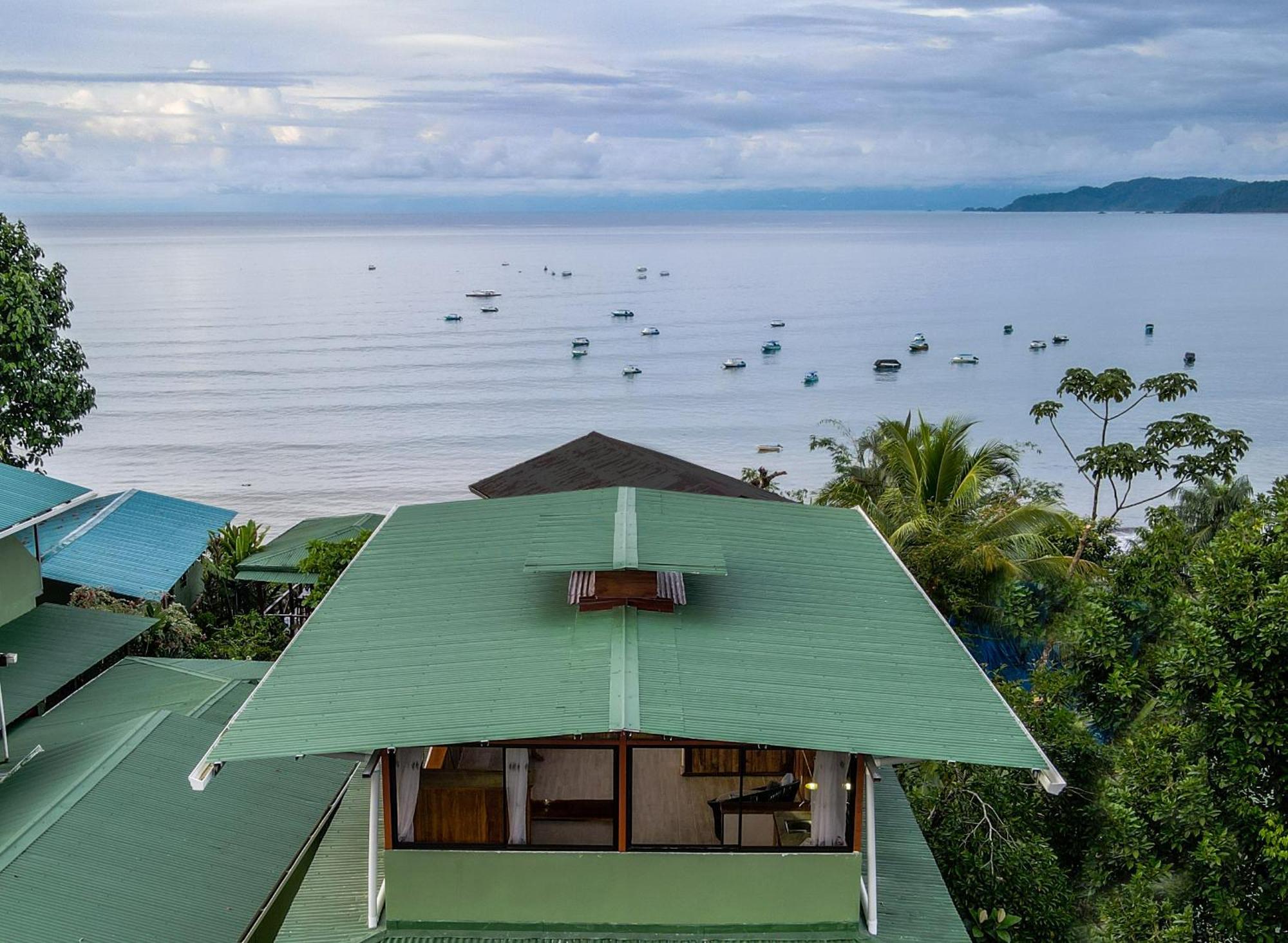 Cotingas Ocean View