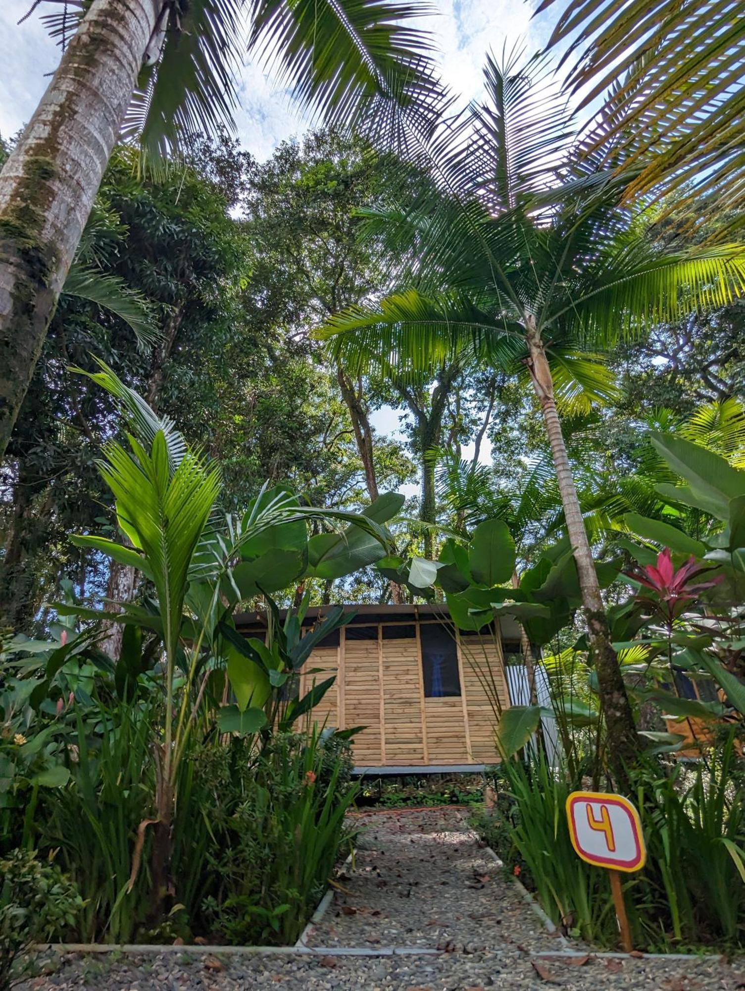 Lodge Arboura Eco *