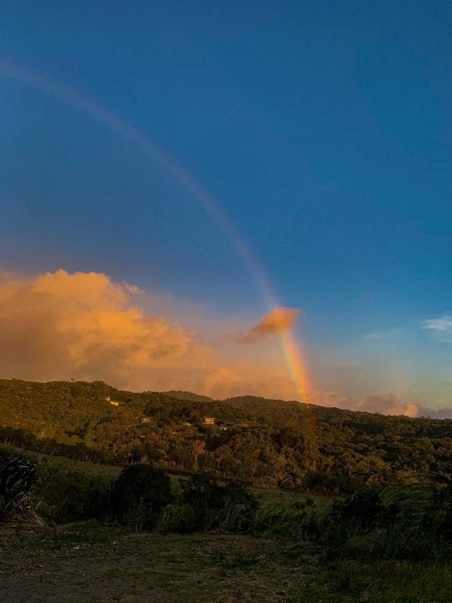 Montana Monteverde