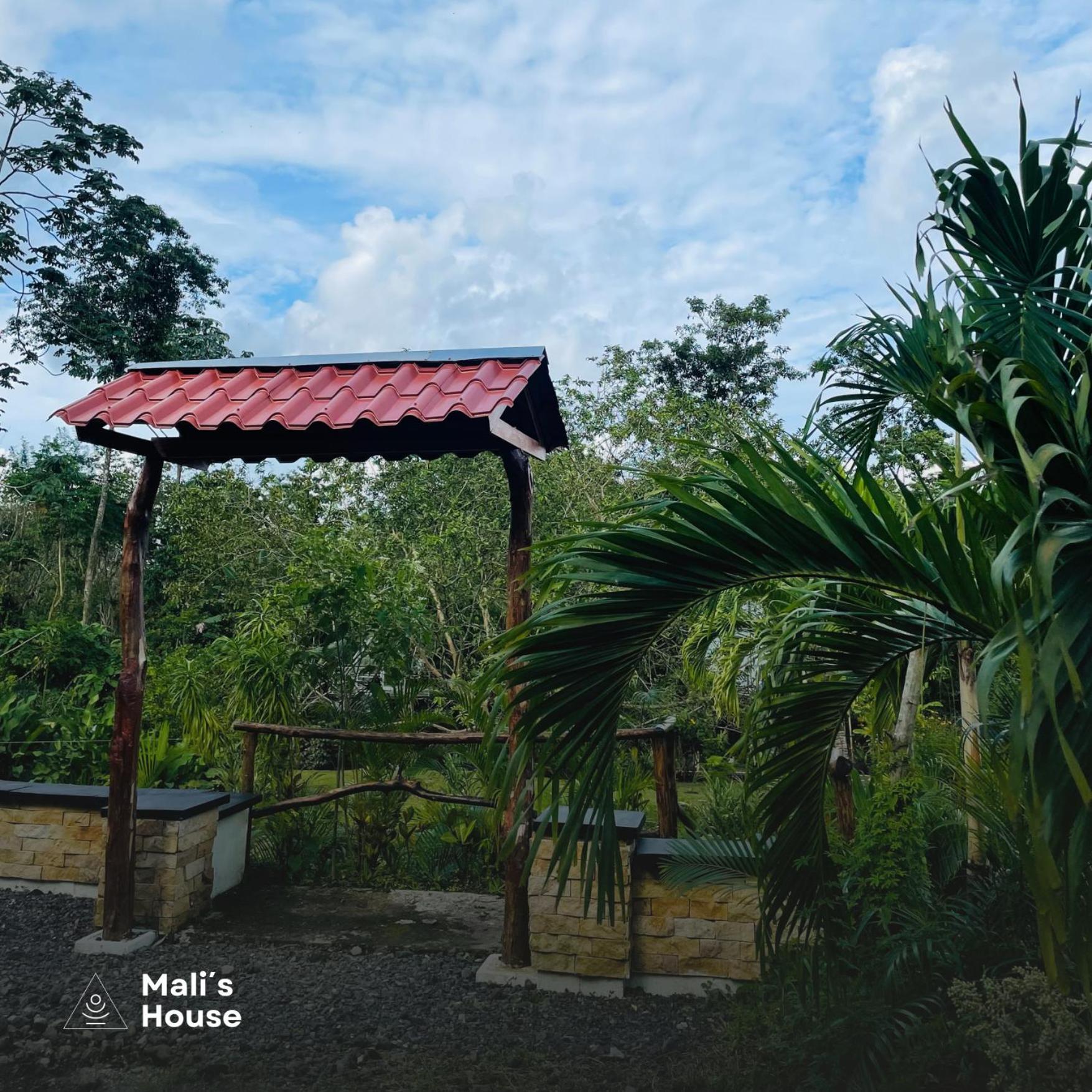 Mali's House * La Fortuna