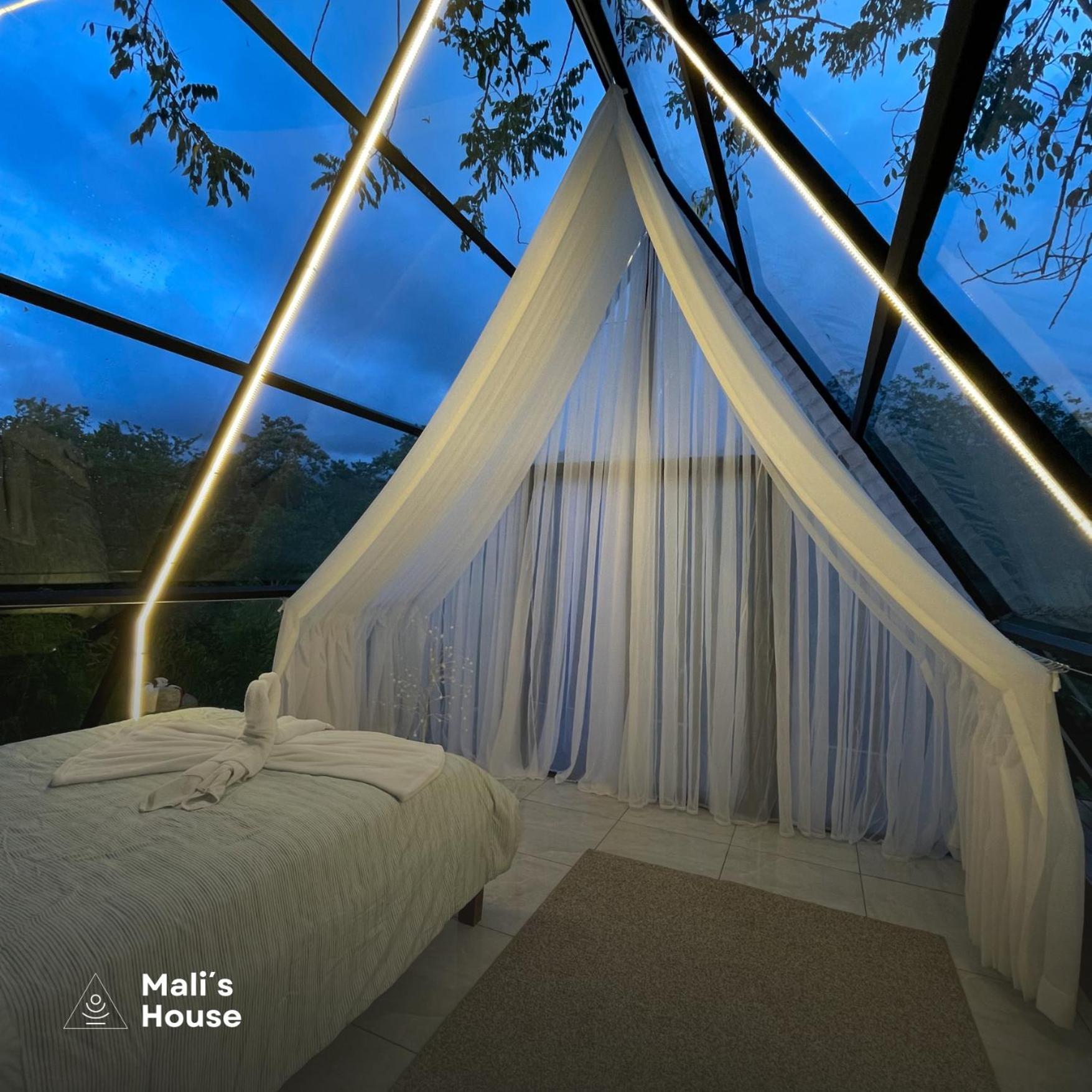 Mali's House Capsule hotel