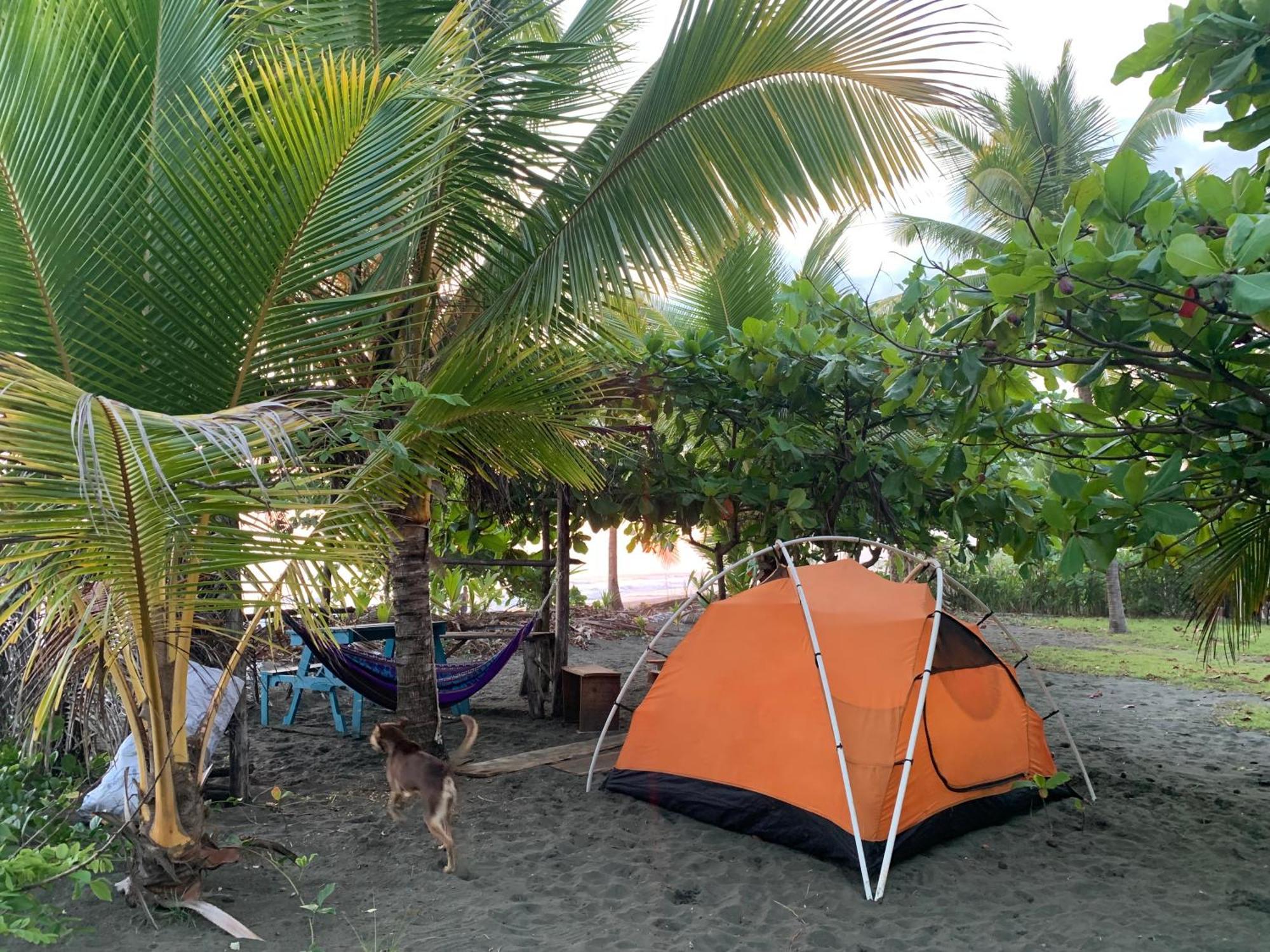 Miguel Surf Camp Campsite *