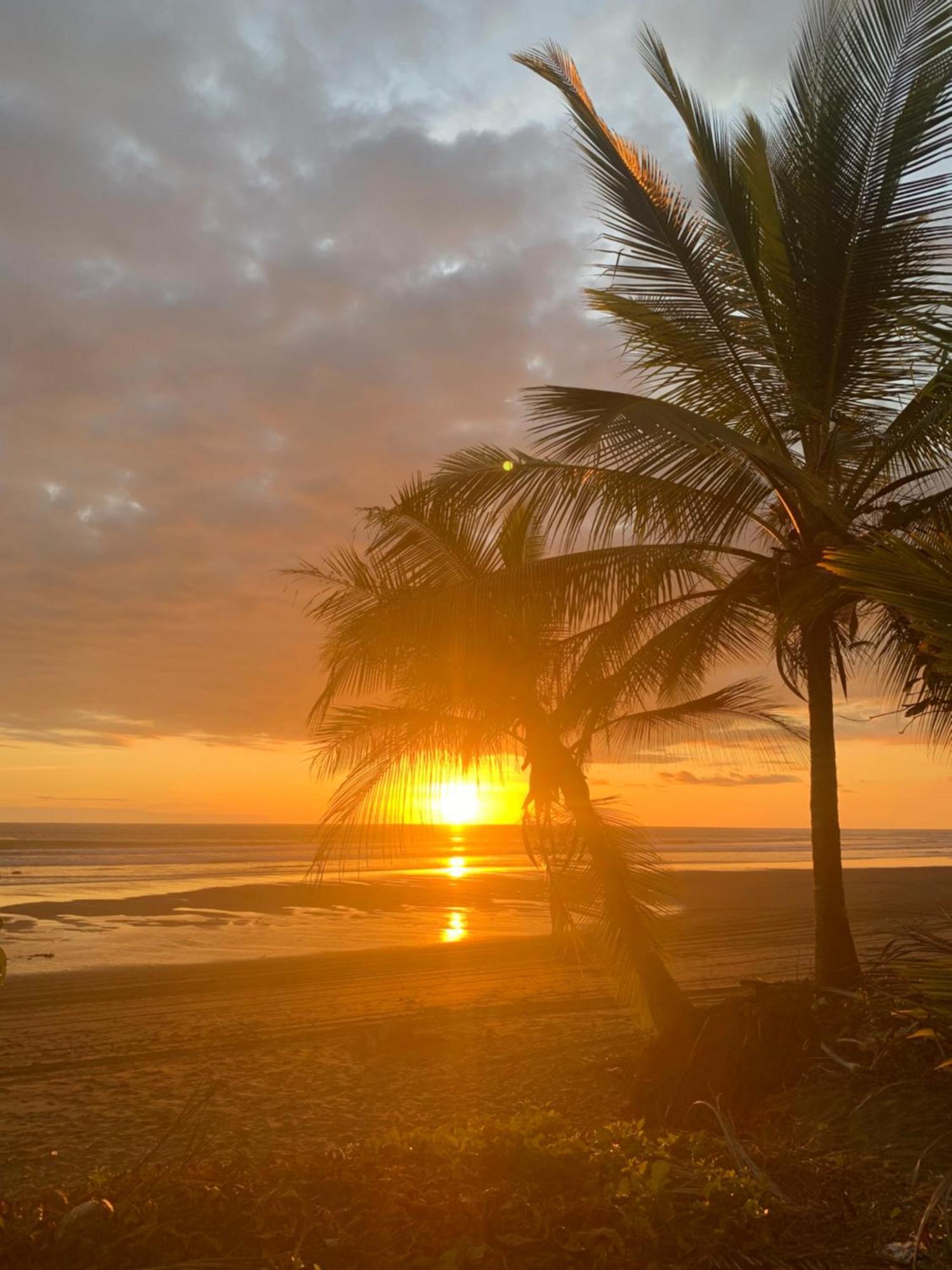 Miguel Surf Camp * Quepos