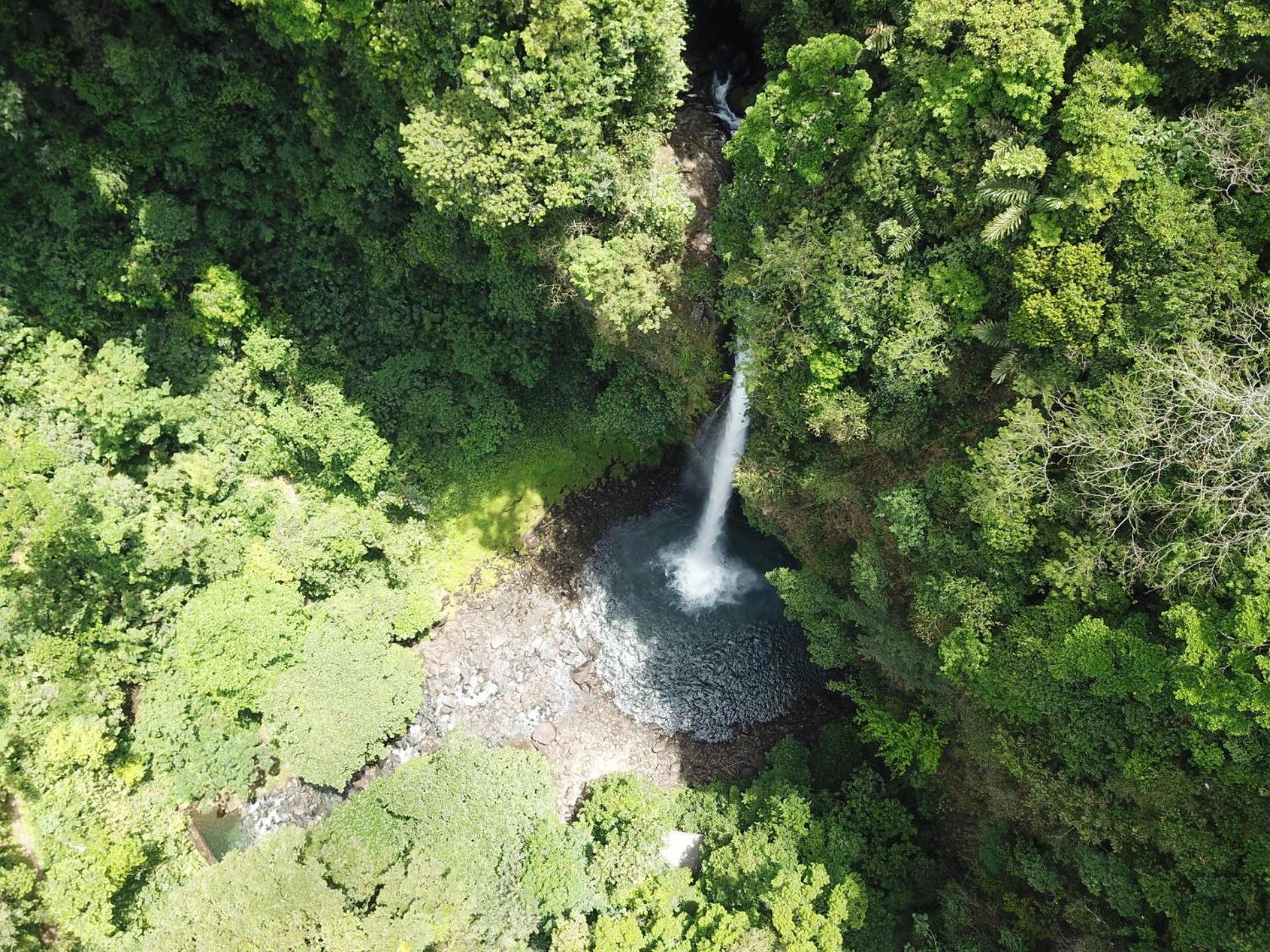 By Treebu La Fortuna