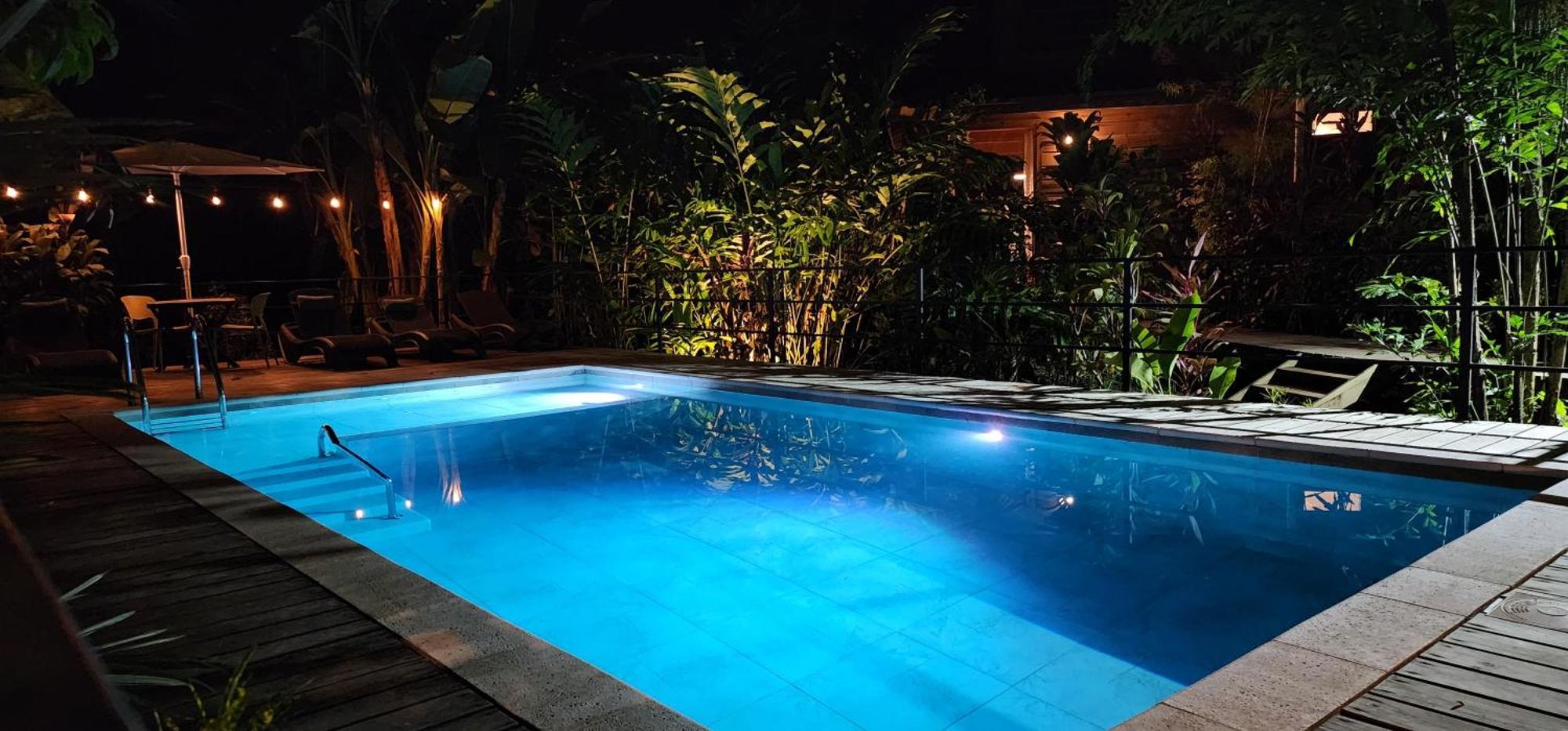 Boutique Y Tangara Azul