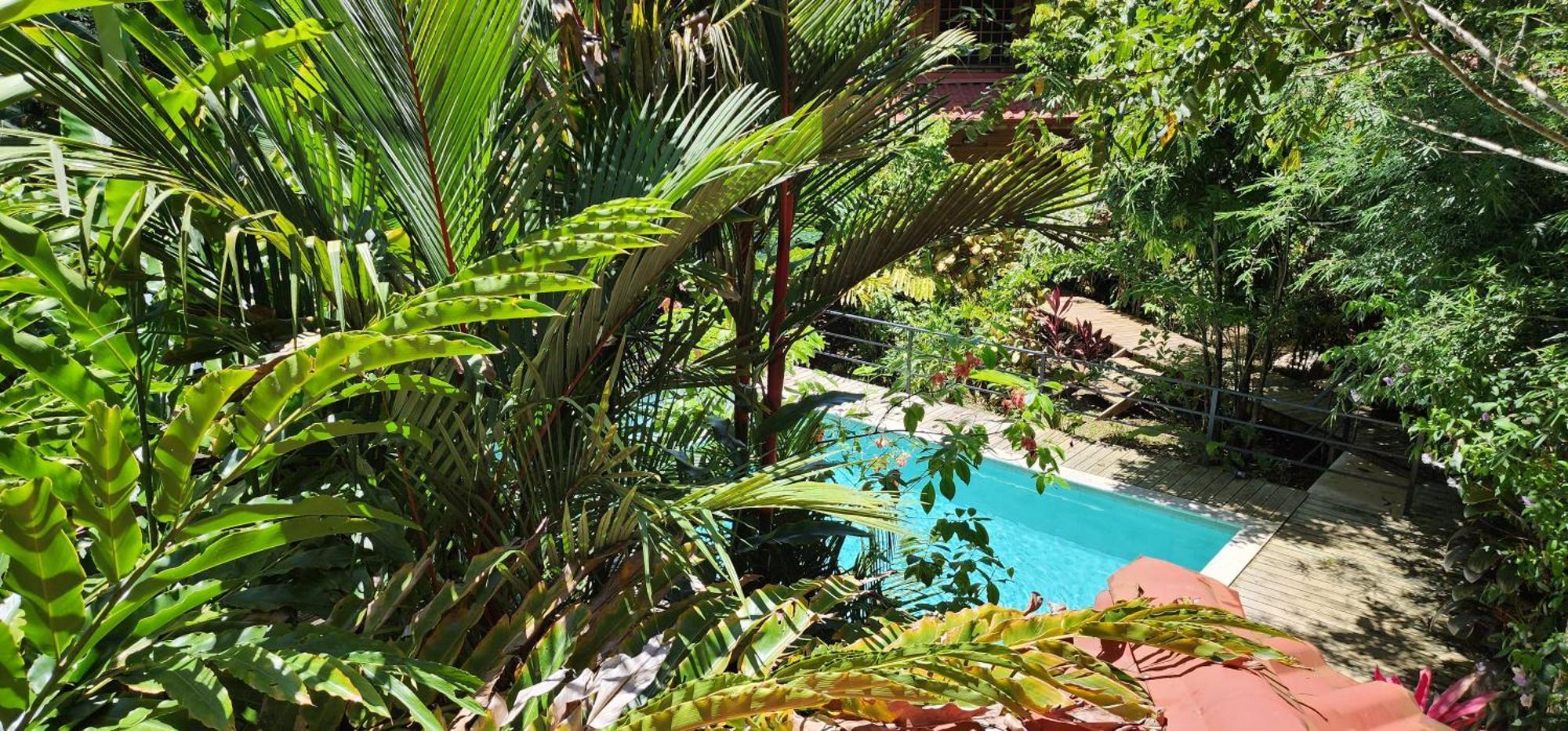 Boutique Y Tangara Azul