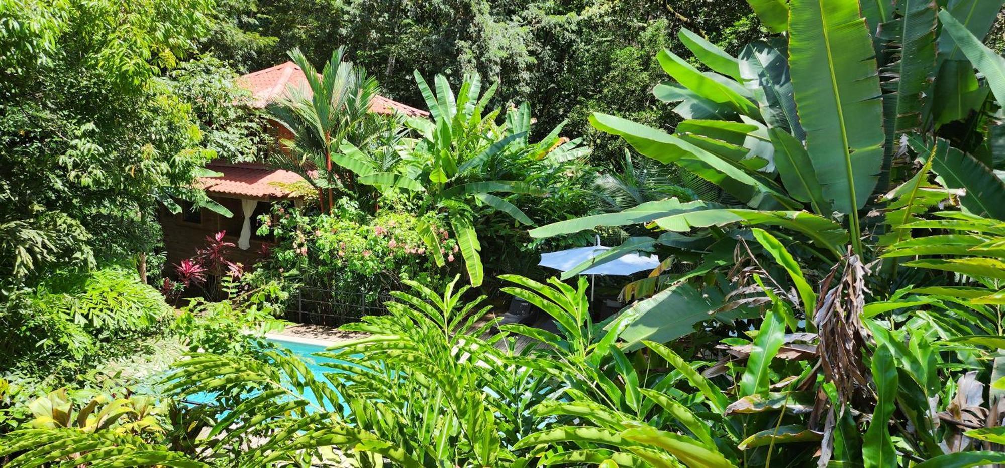 Hotel Boutique Y Tangara Azul