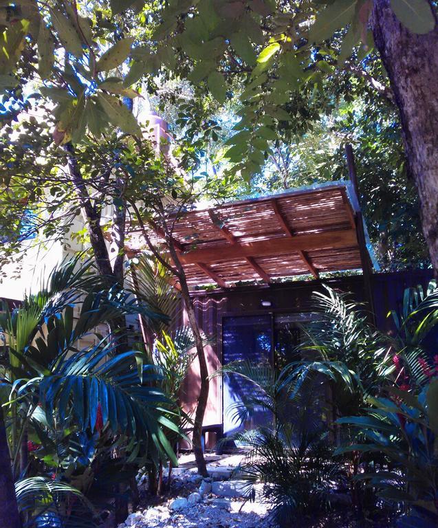 Sanctuary Nosara
