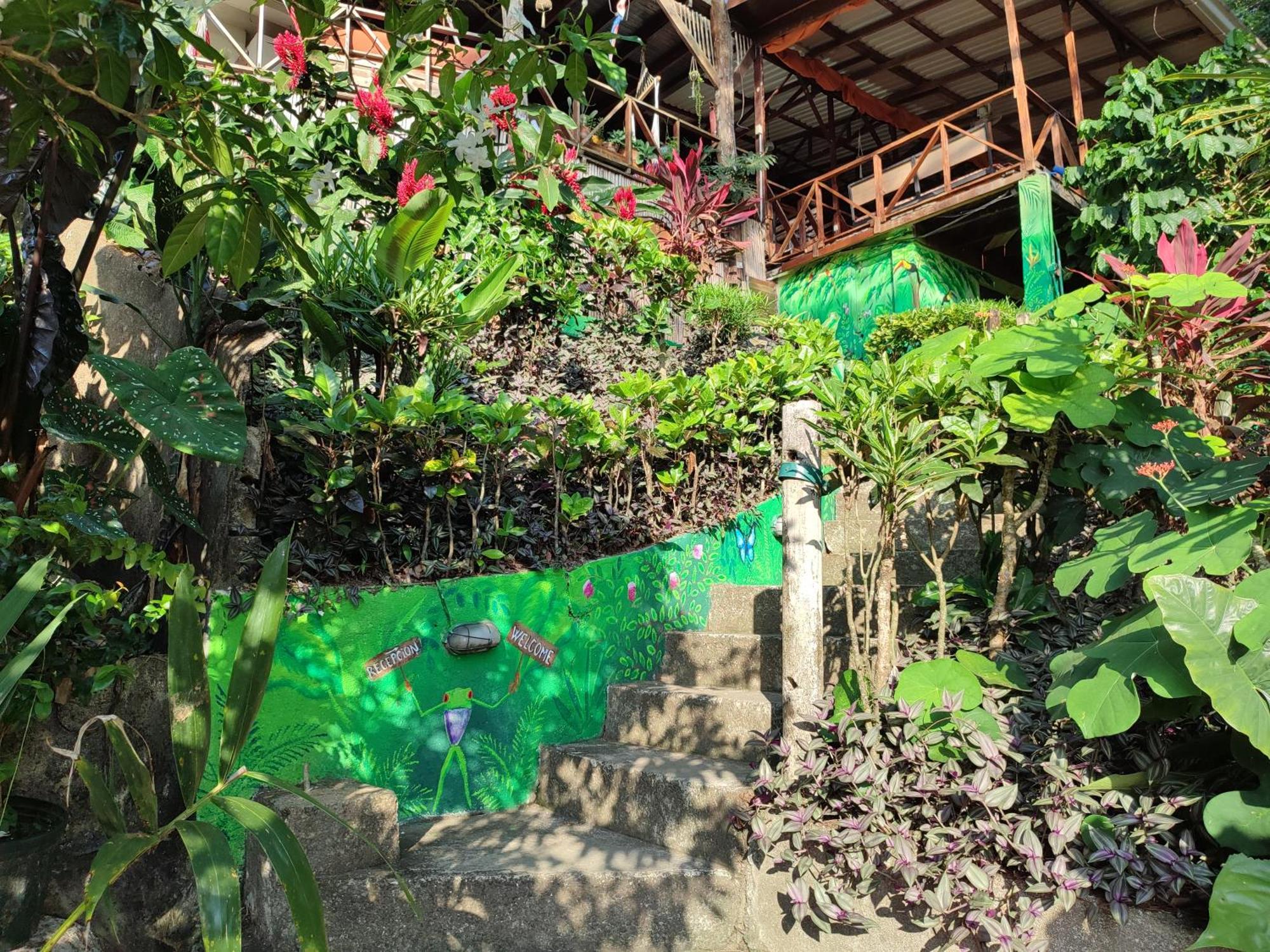 Hostel Plinio