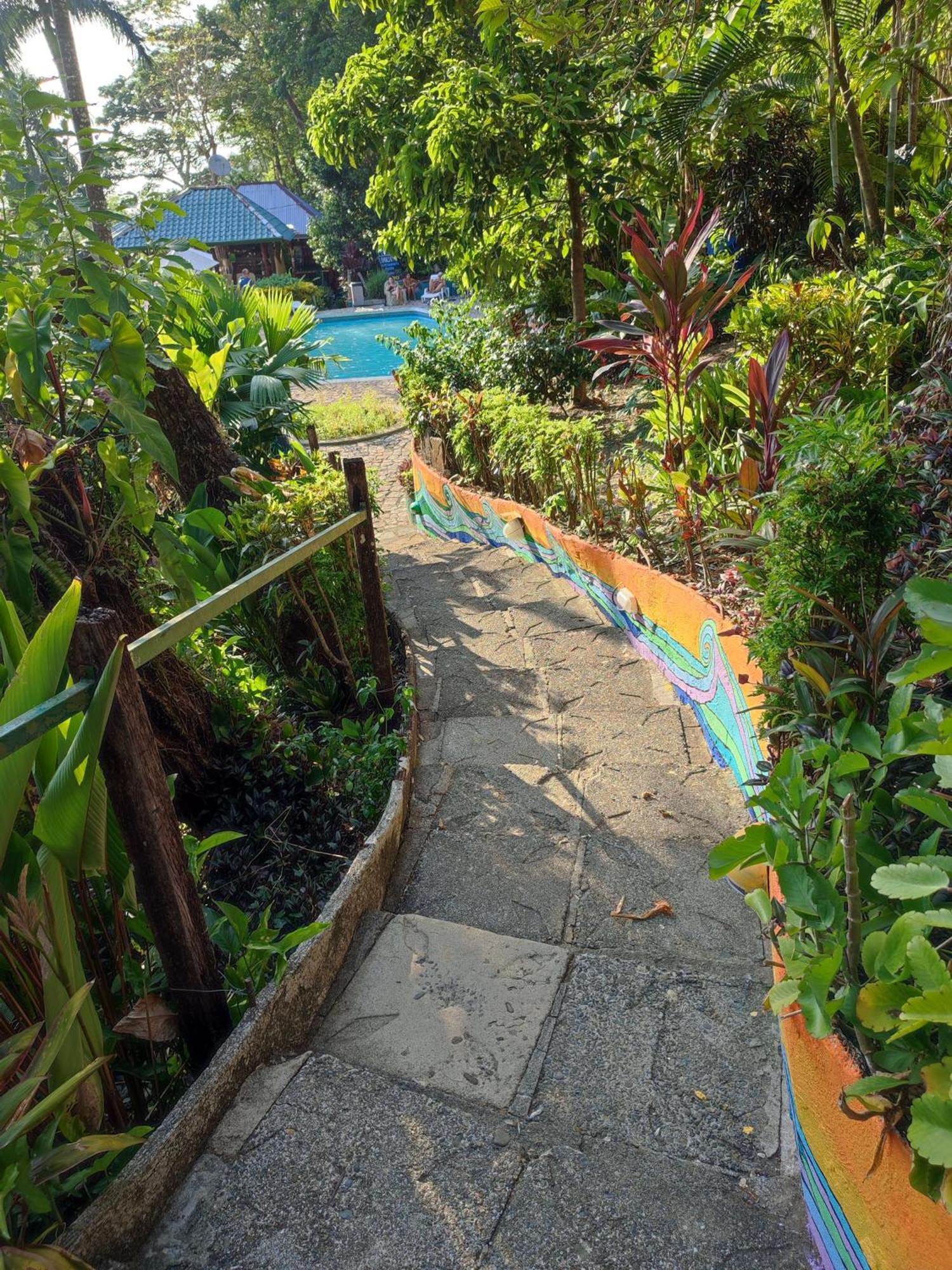 Hostel Plinio