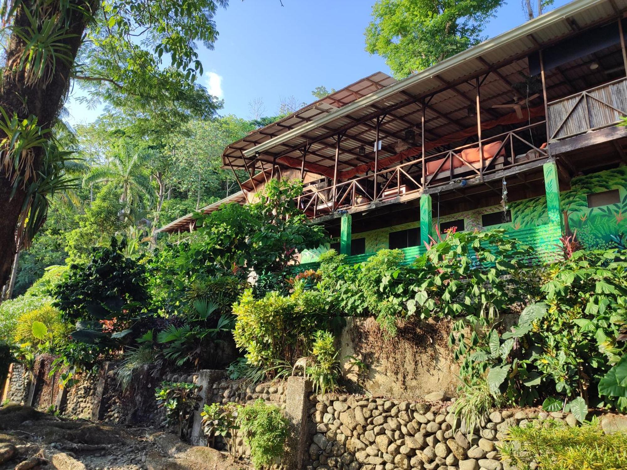 Plinio Manuel Antonio