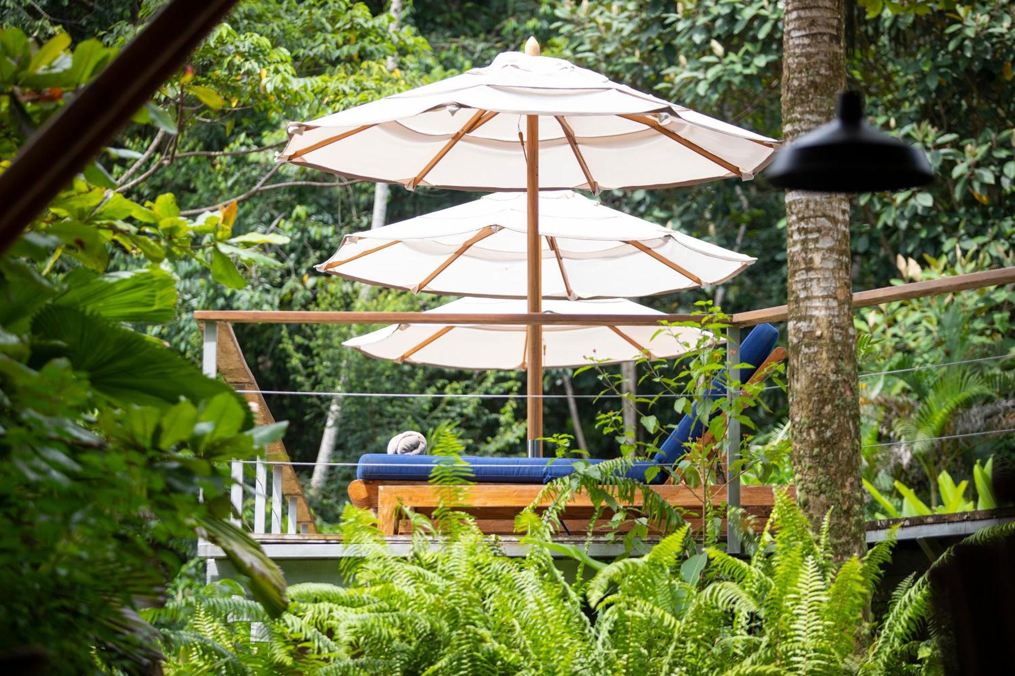 Lodge El Remanso Rainforest *