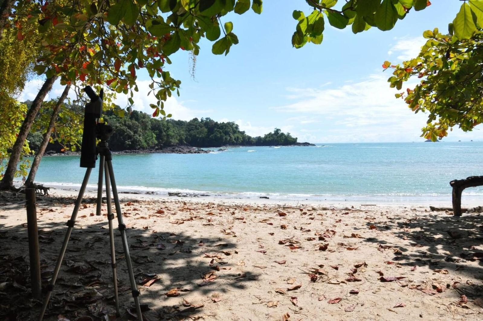 Hotel Shana By The Manuel Antonio