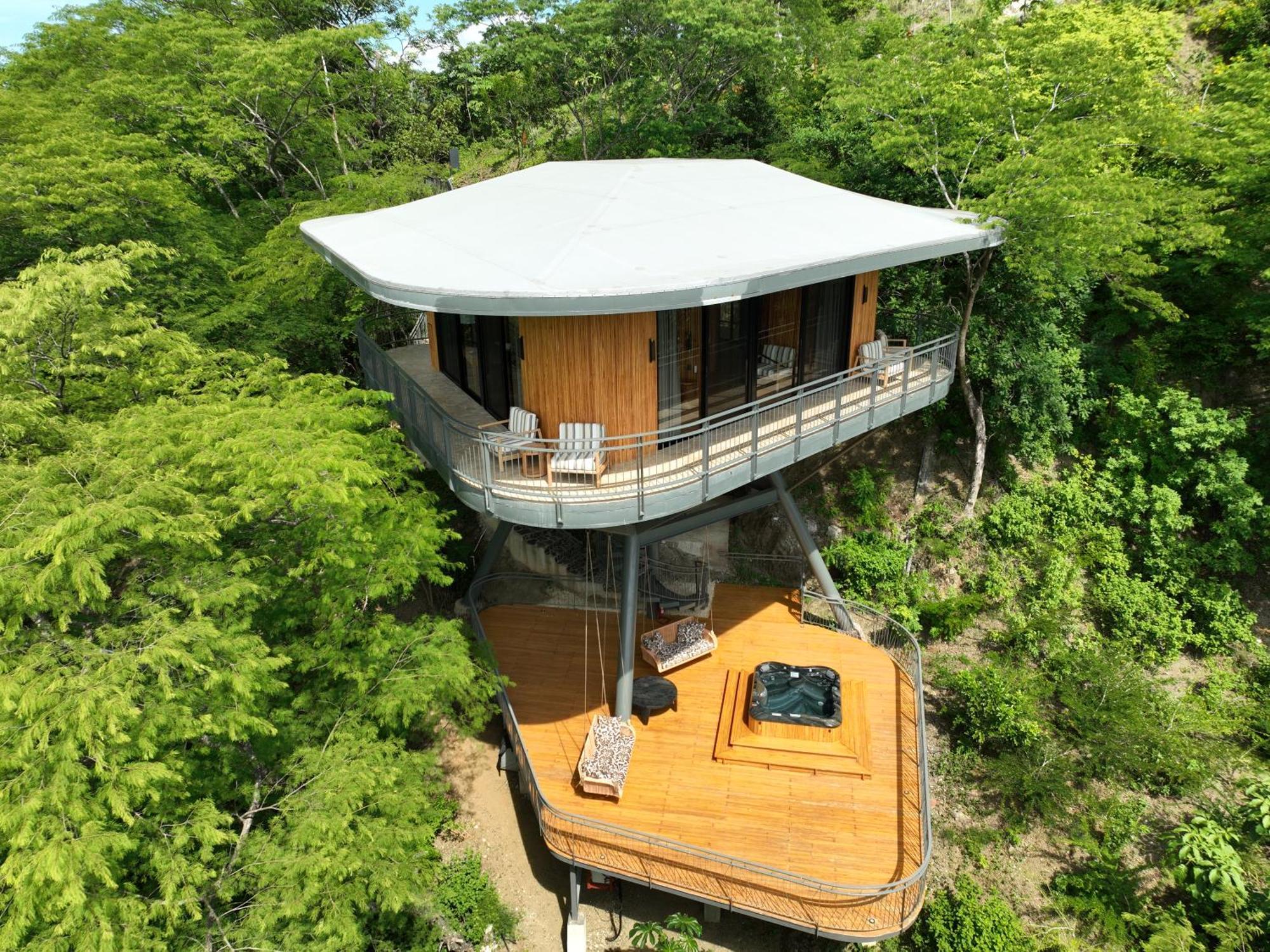 Hotel Suitree Experience