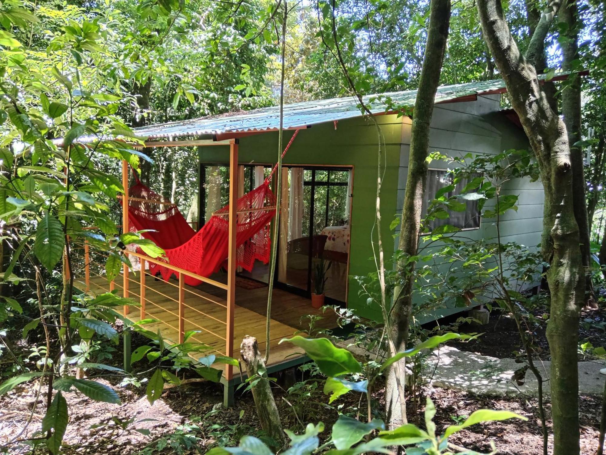 Jungle Living Tree Lodge *