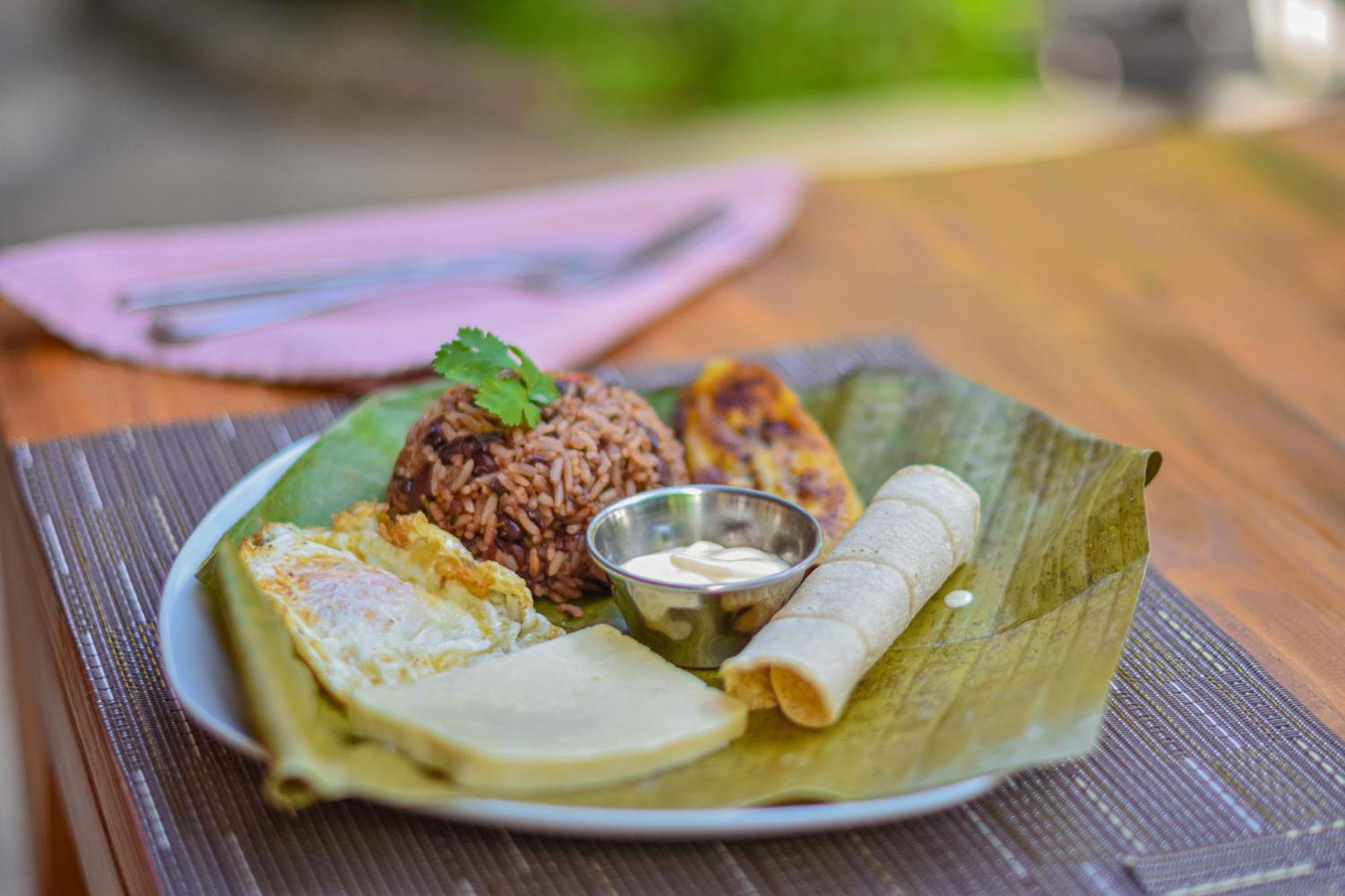Bed & Breakfast Luna Llena Tamarindo
