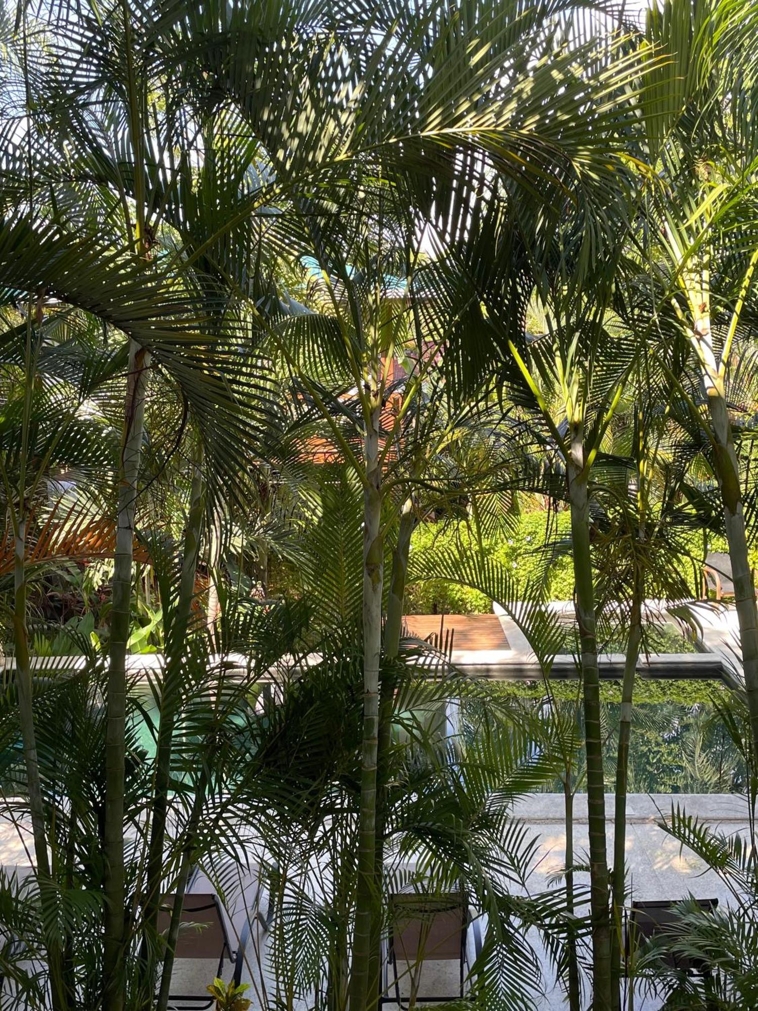 Ohana Aparthotel Playa Santa Teresa (Puntarenas)