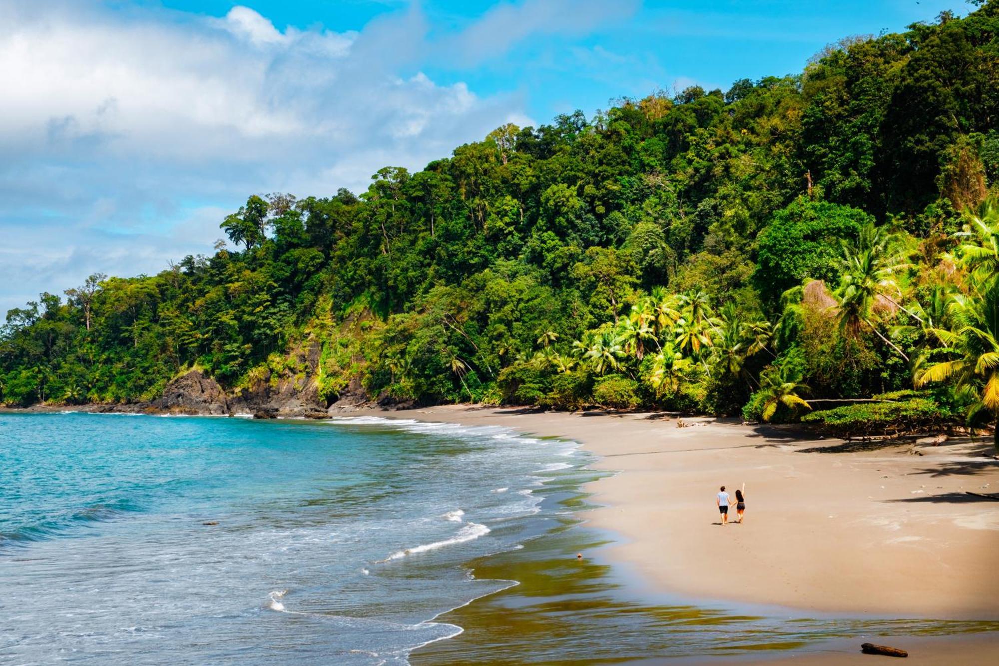 Hotel Corcovado Wilderness By Scp
