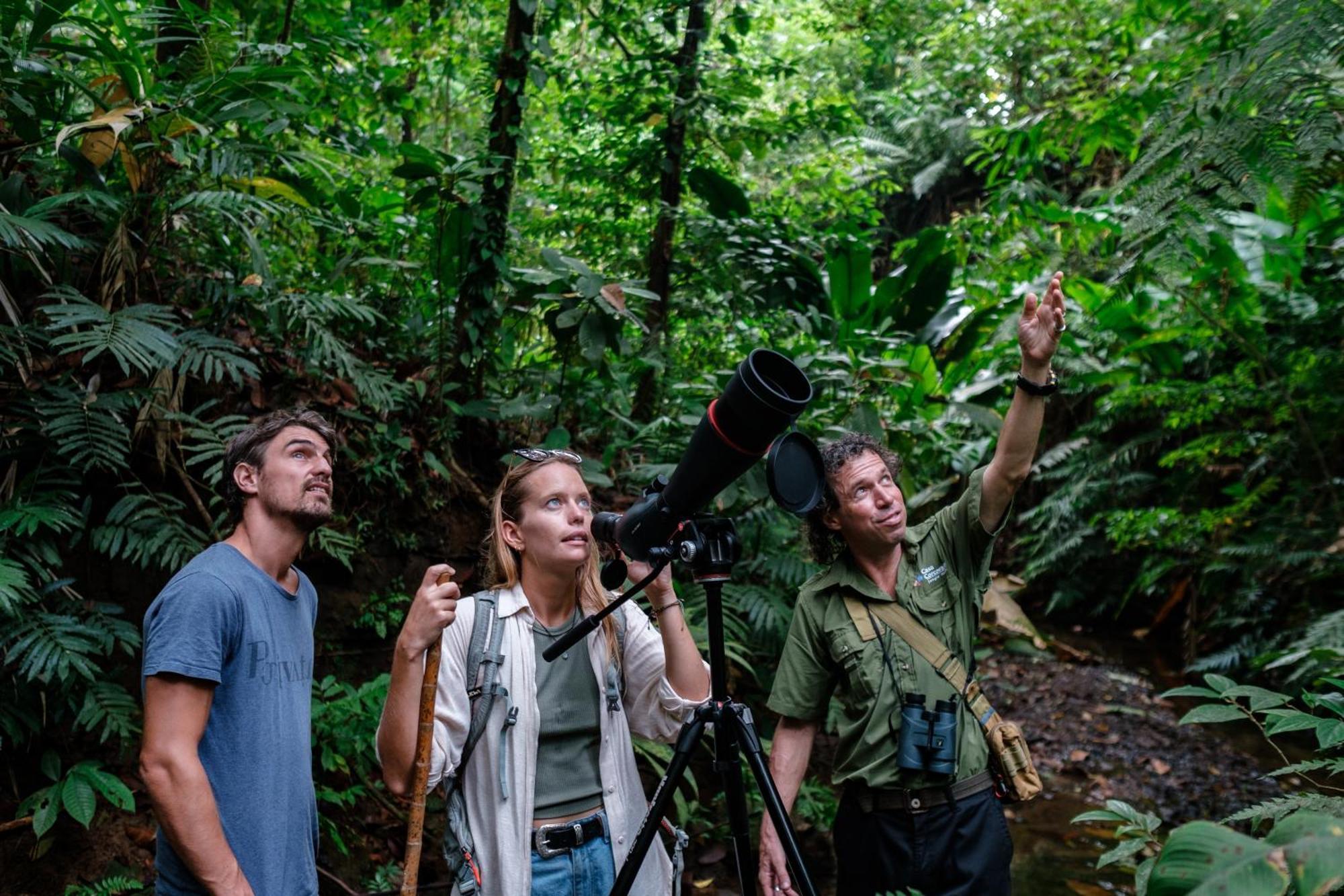 Corcovado Wilderness By Scp San Pedrillo