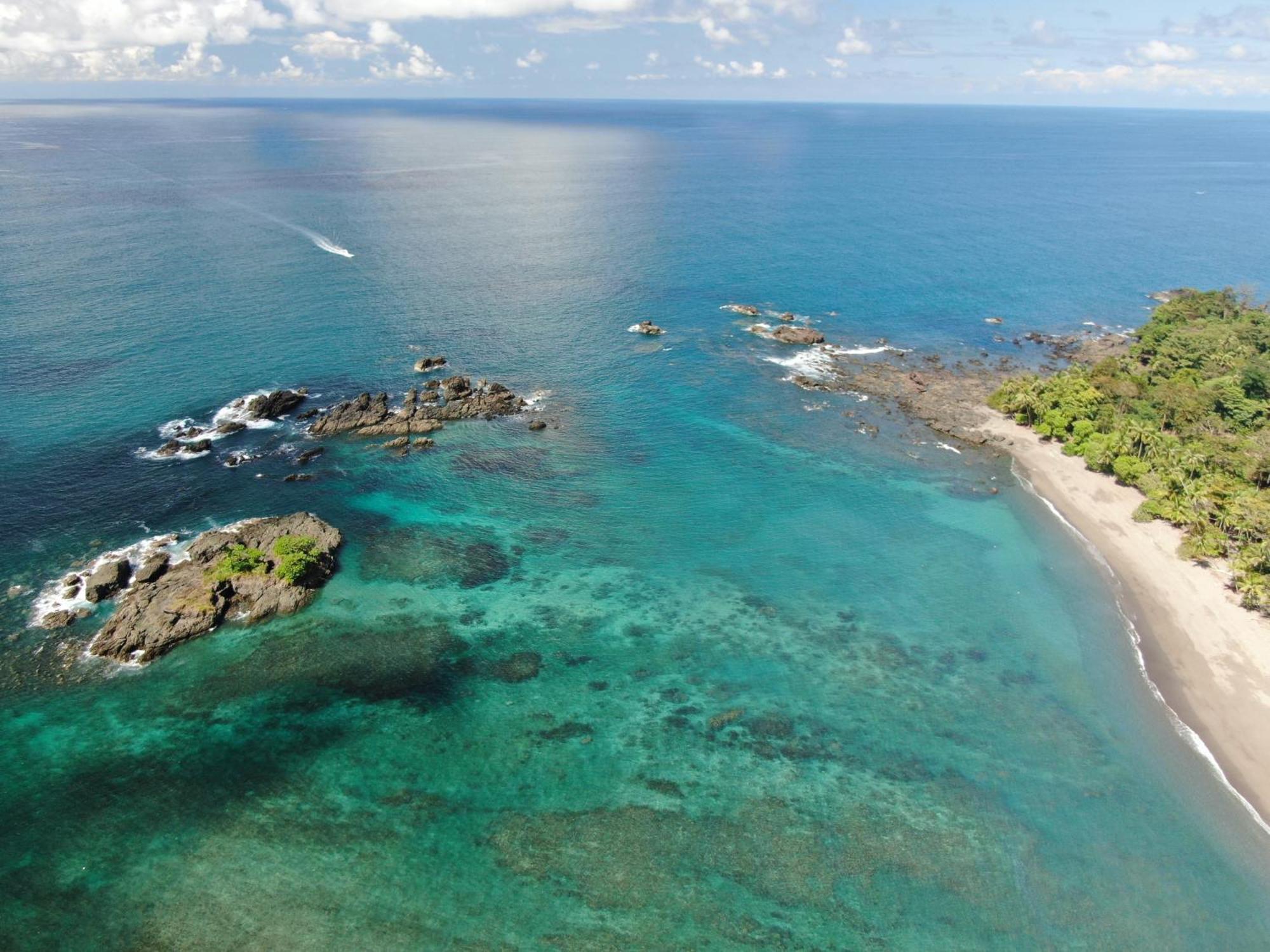Corcovado Wilderness By Scp Hotel San Pedrillo