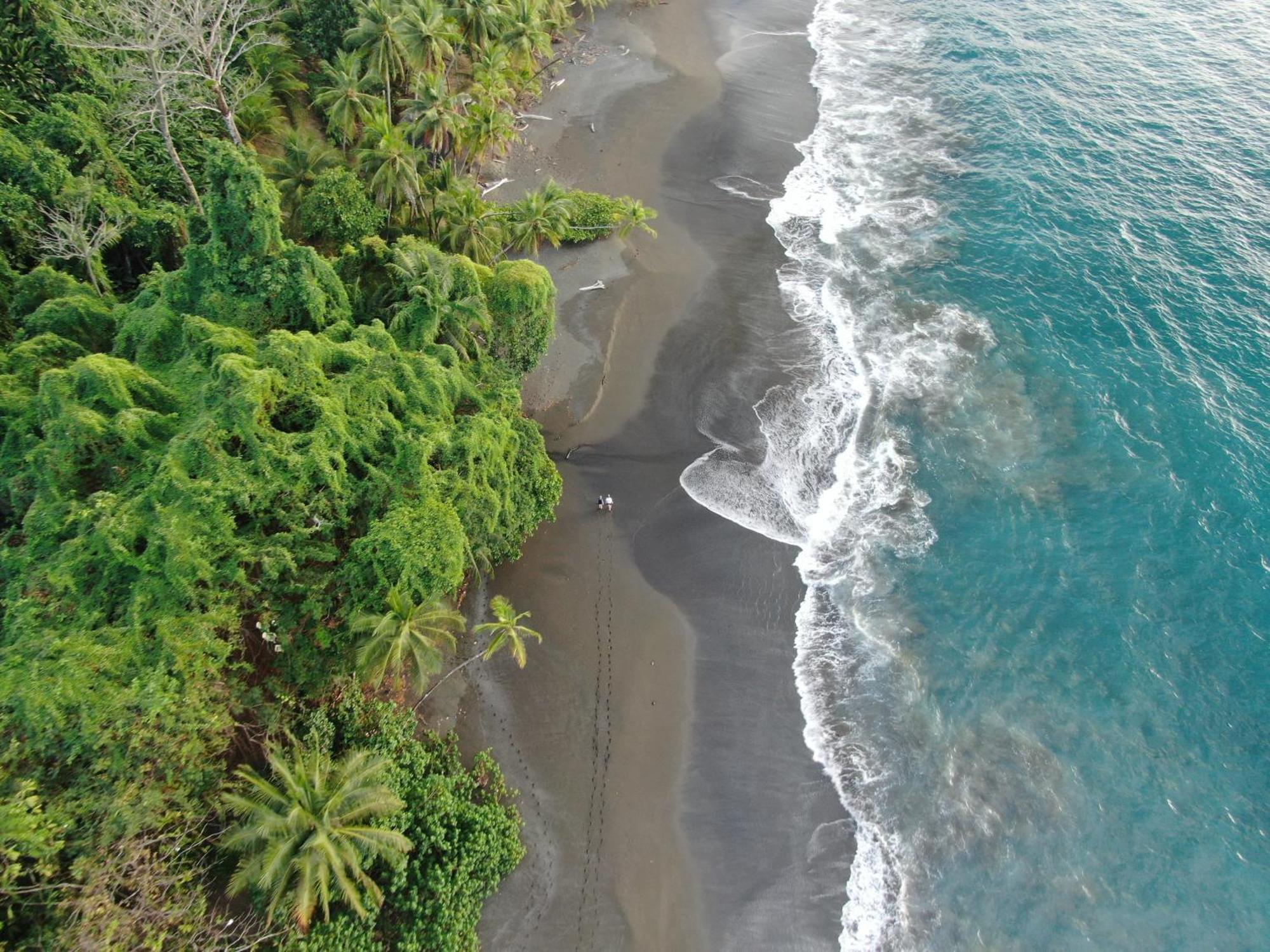 Corcovado Wilderness By Scp 5*