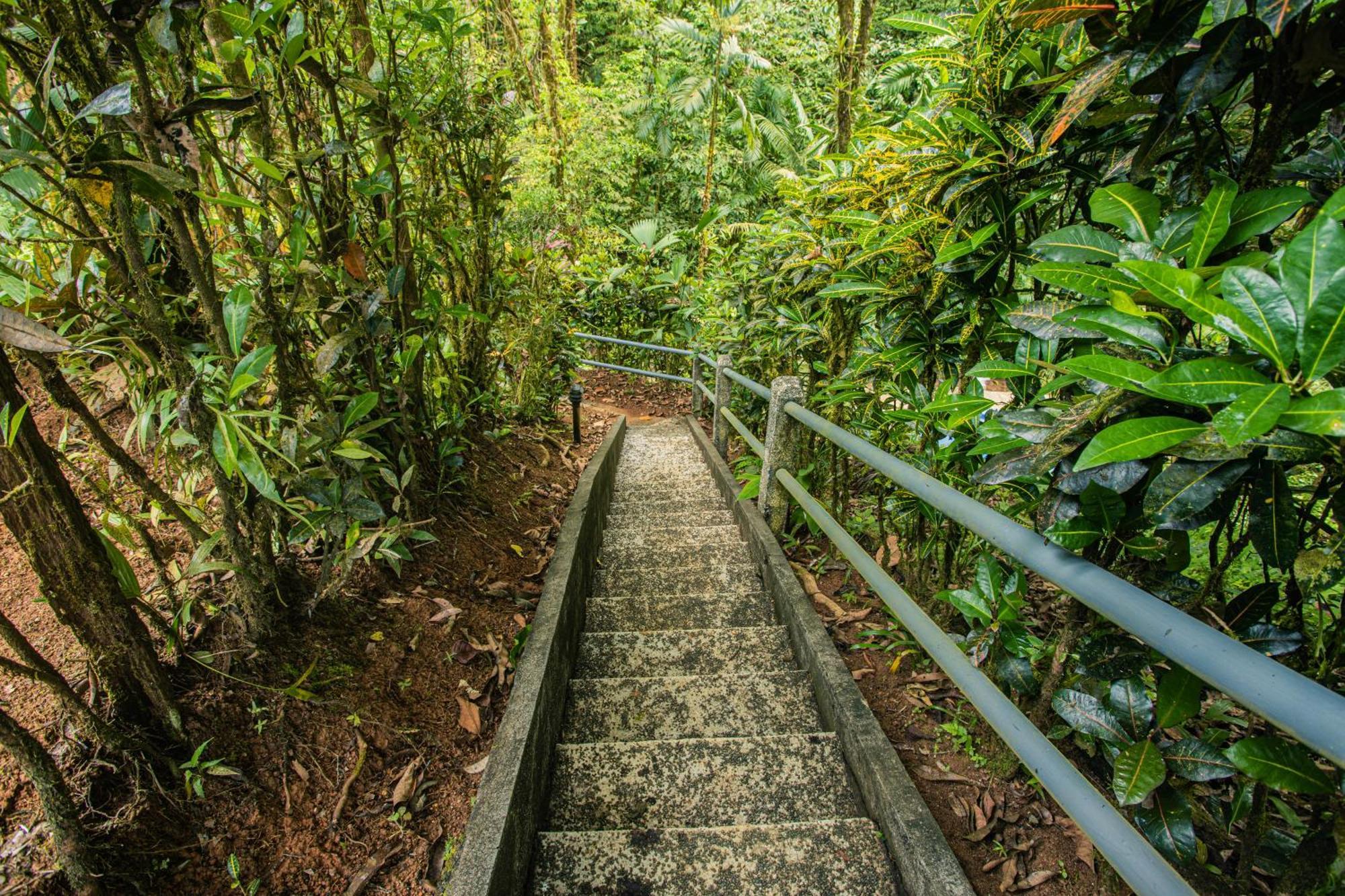 Corcovado Wilderness By Scp 5* San Pedrillo