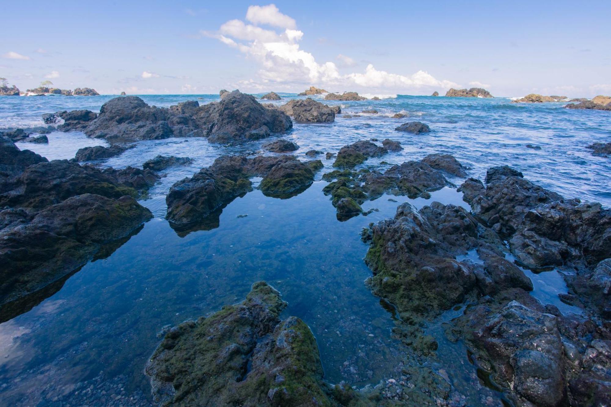 Corcovado Wilderness By Scp