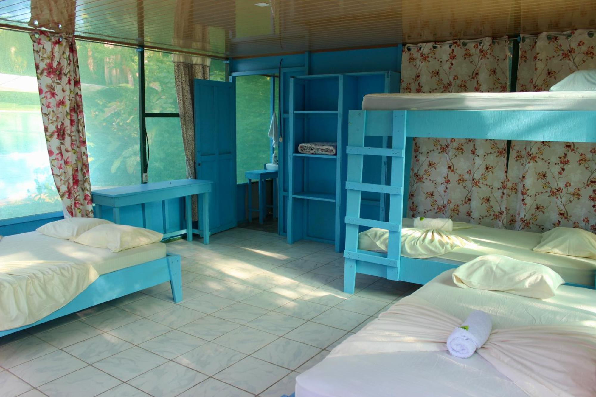 Life For Life Hostel: Sea Turtle Conservation At * Drake Bay