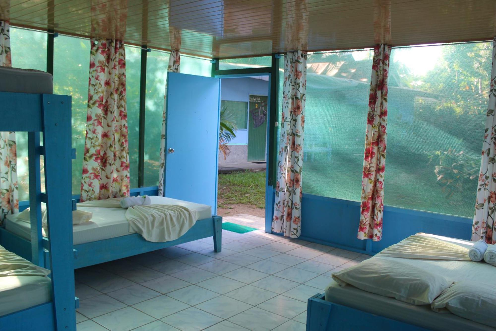 Hostel Life For Life Hostel: Sea Turtle Conservation At