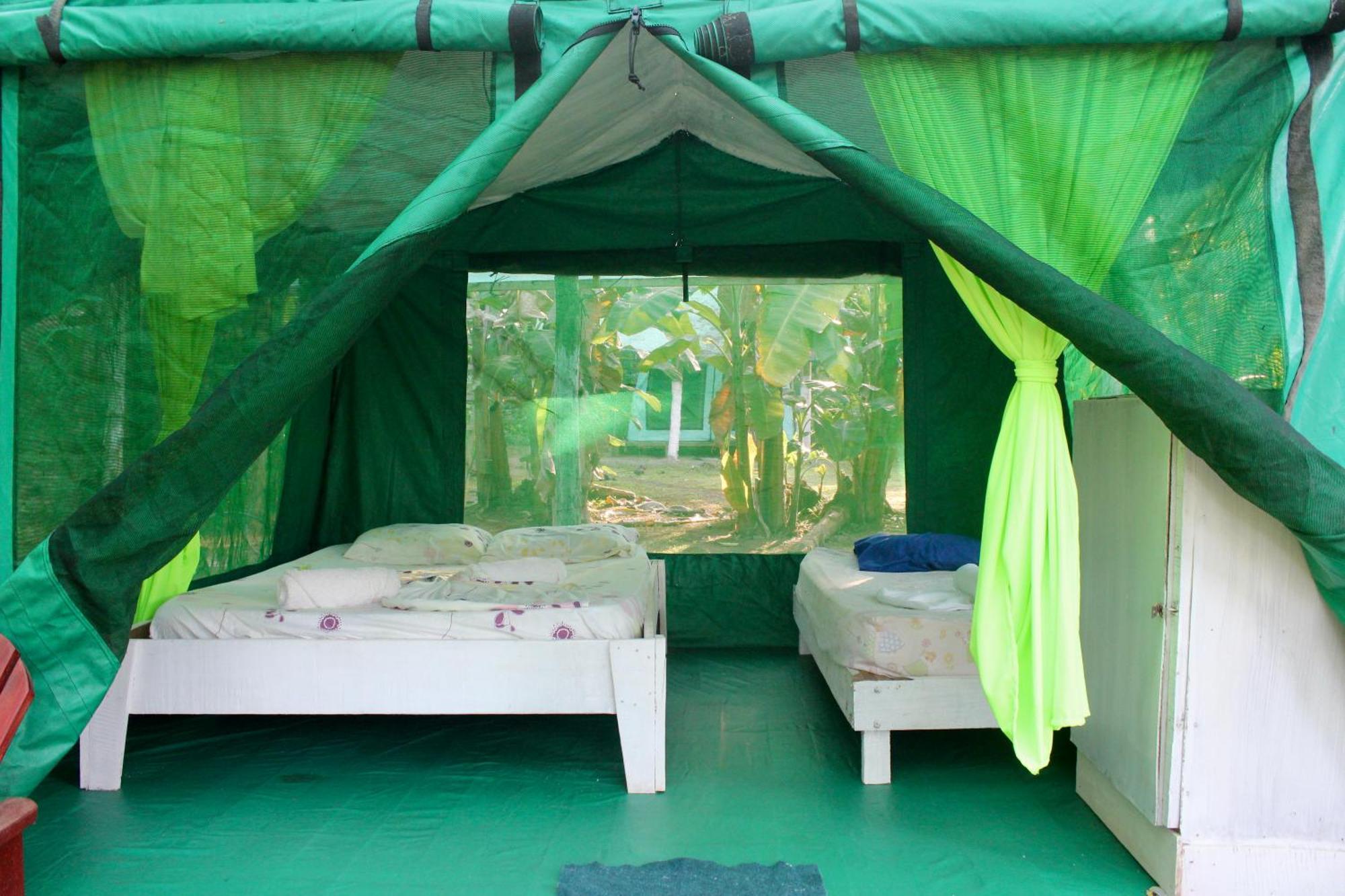 Hostel Life For Life Hostel: Sea Turtle Conservation At *
