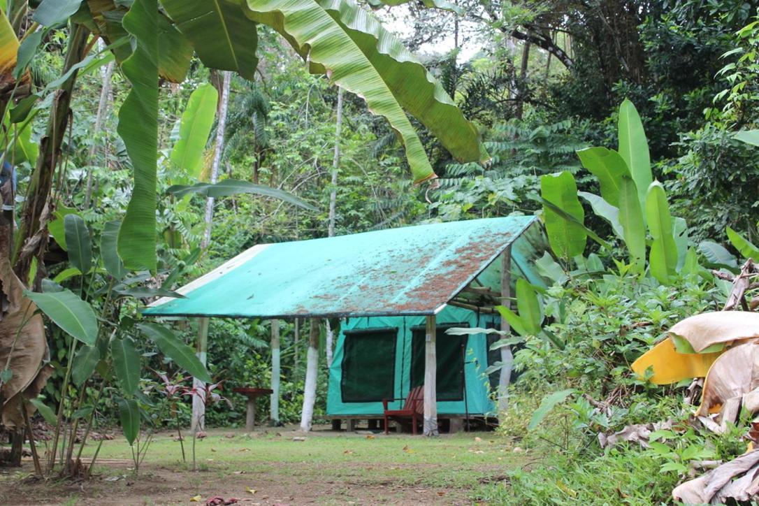 Life For Life Hostel: Sea Turtle Conservation At