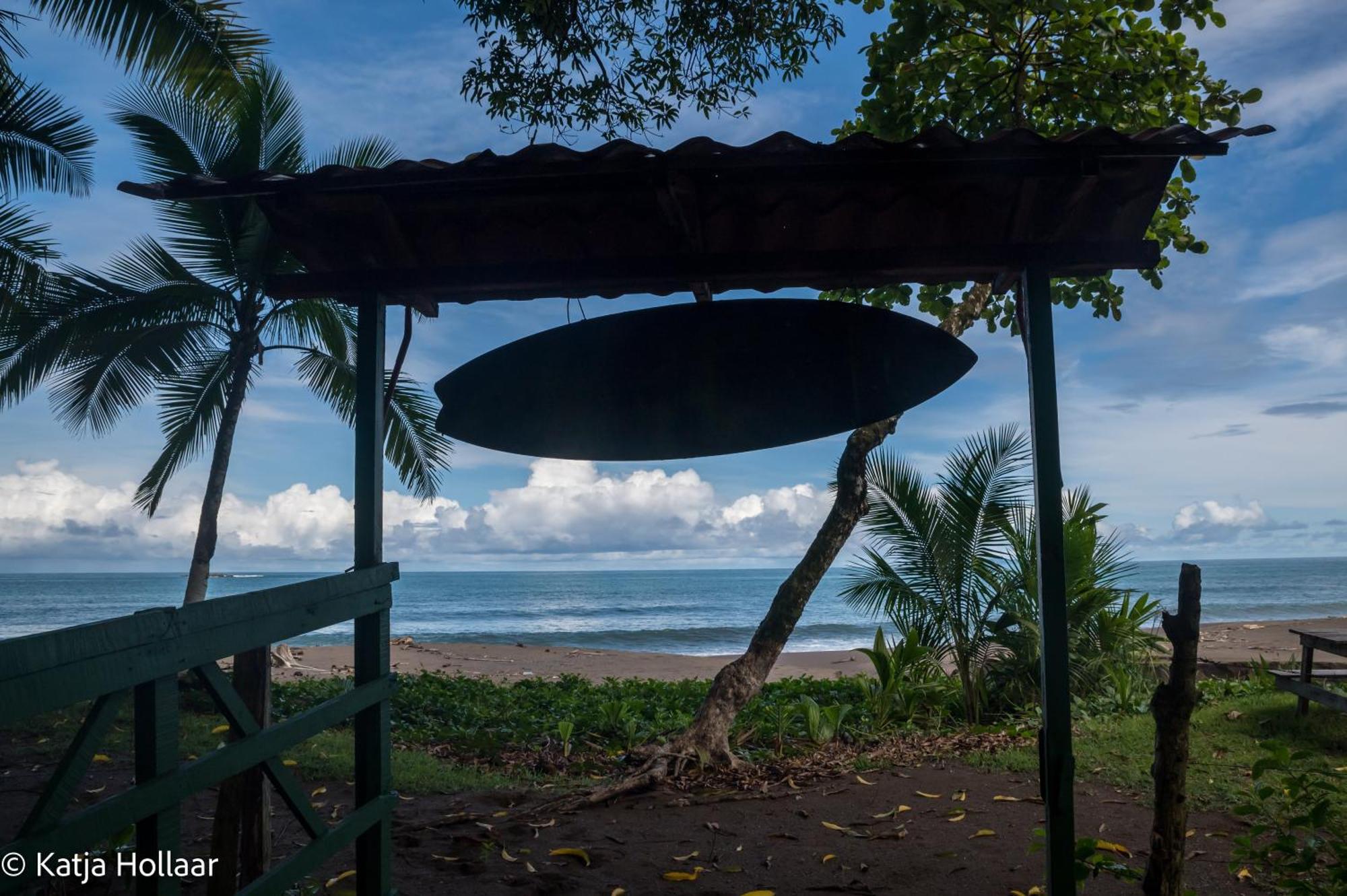 Life For Life Hostel: Sea Turtle Conservation At * Drake Bay