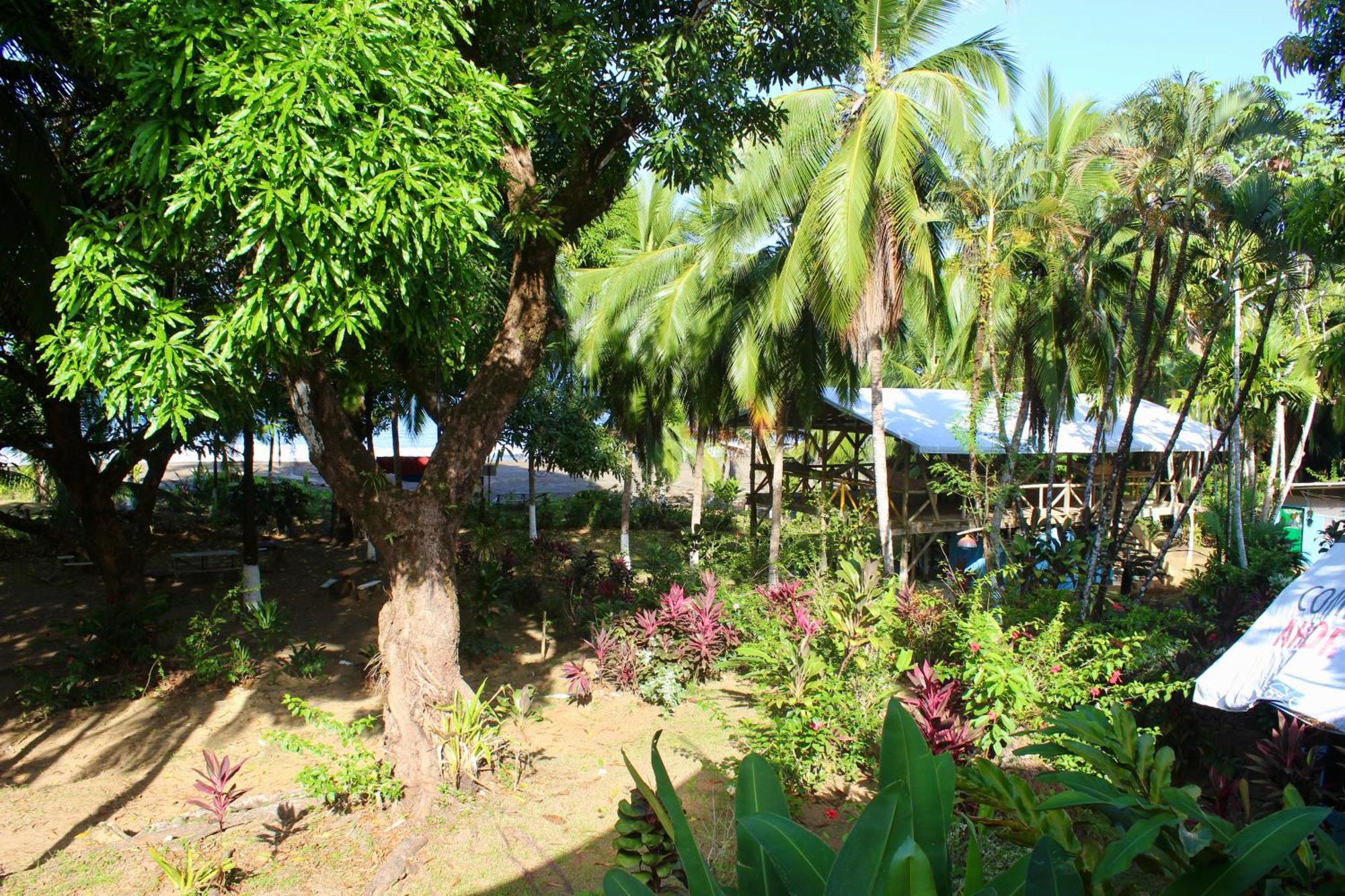 Hostel Life For Life Hostel: Sea Turtle Conservation At