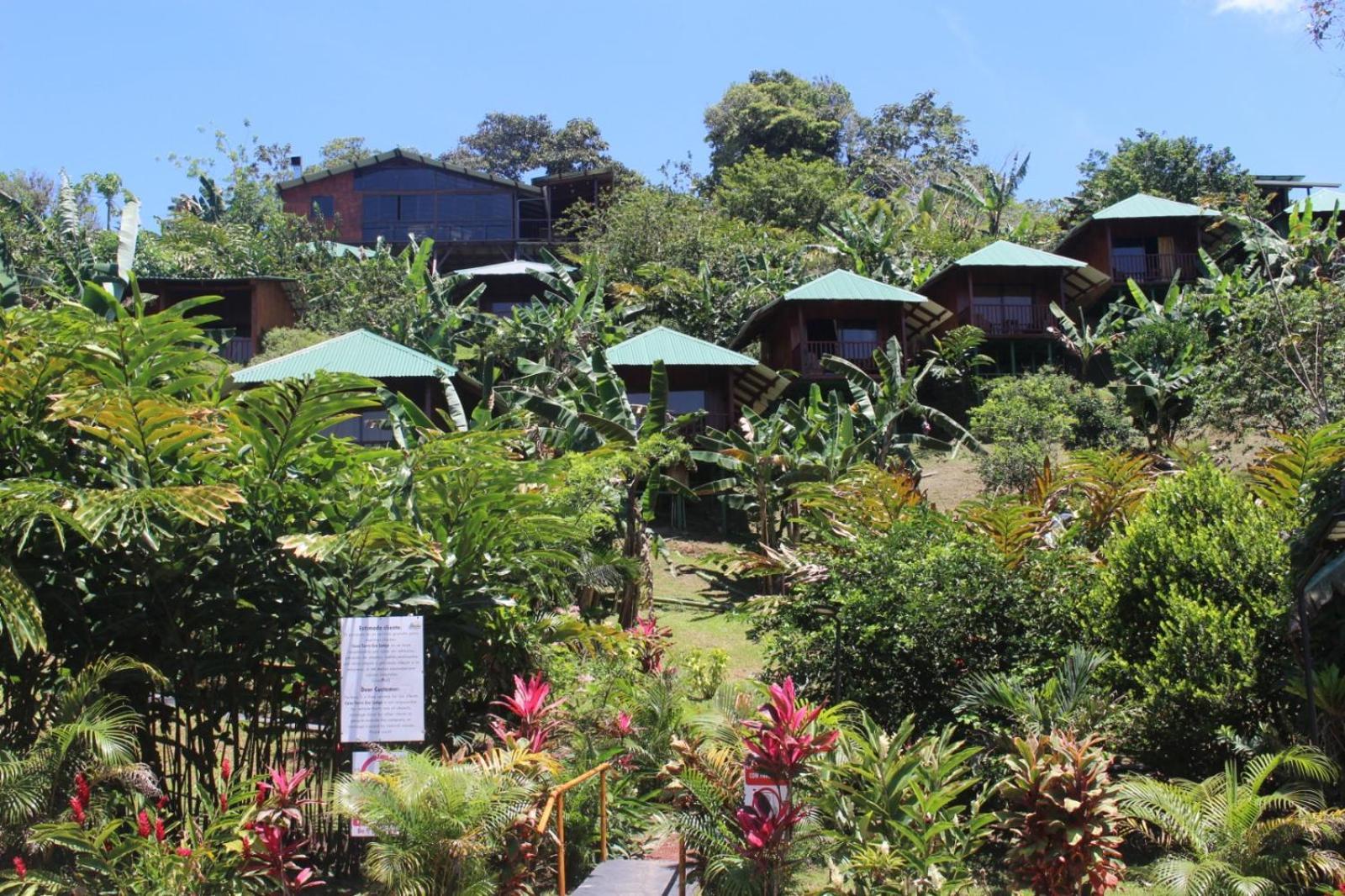 Lodge Casa Torre Eco- La Fortuna