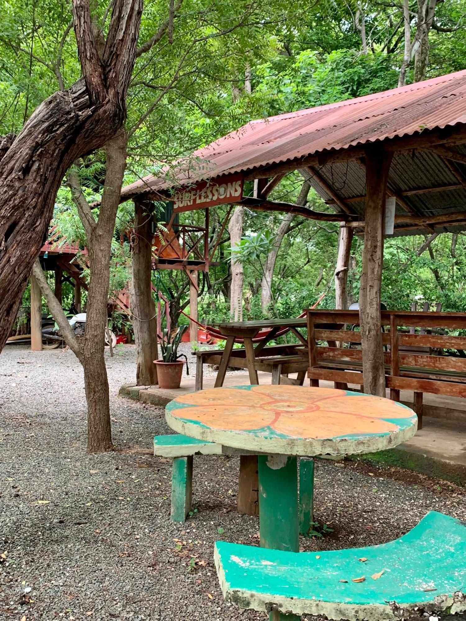 Guest house Nieves Surf And Camping.