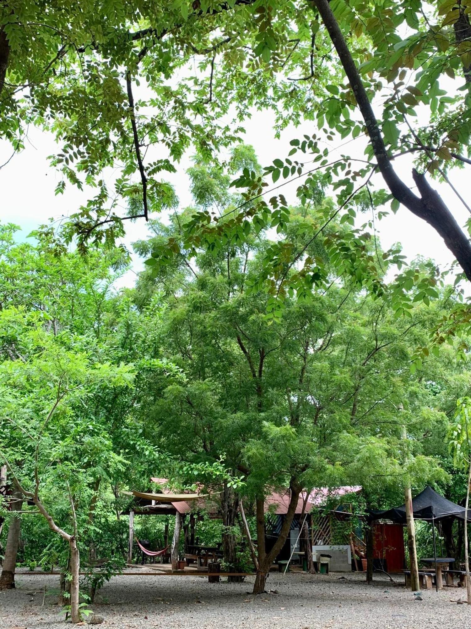 Nieves Surf And Camping. Guest house *