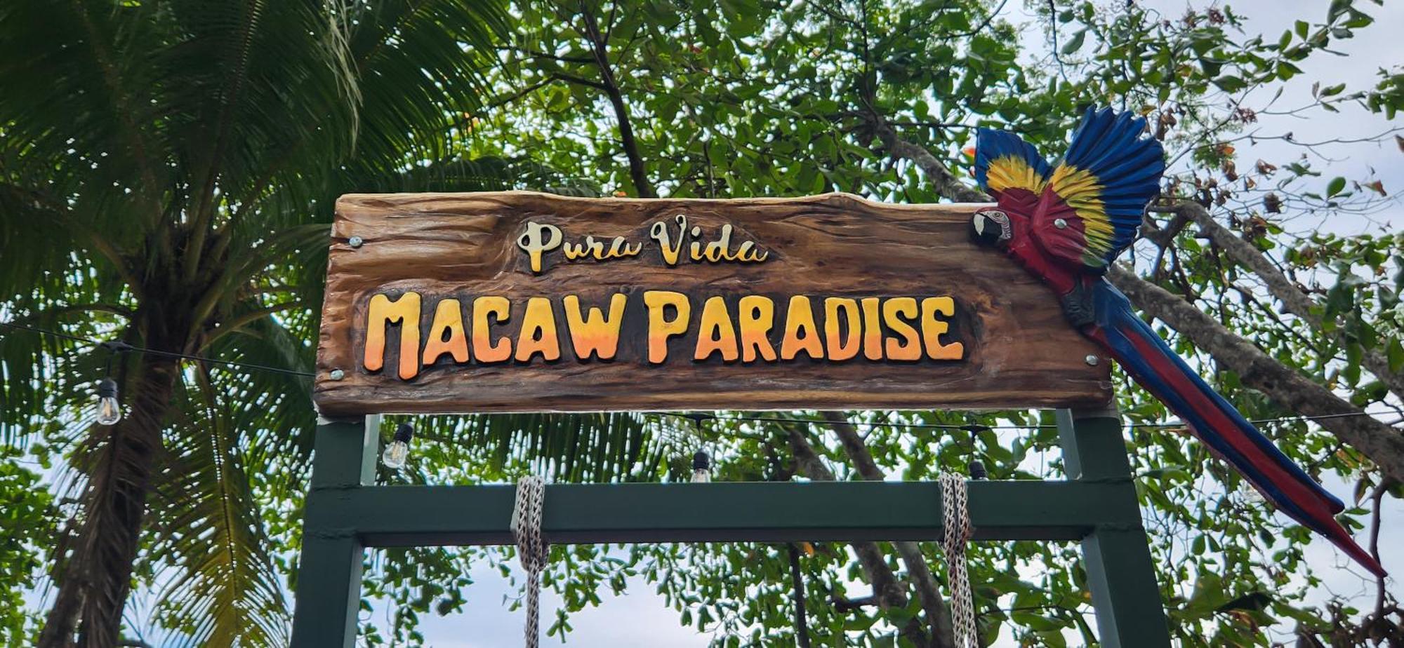 Macaw Paradise